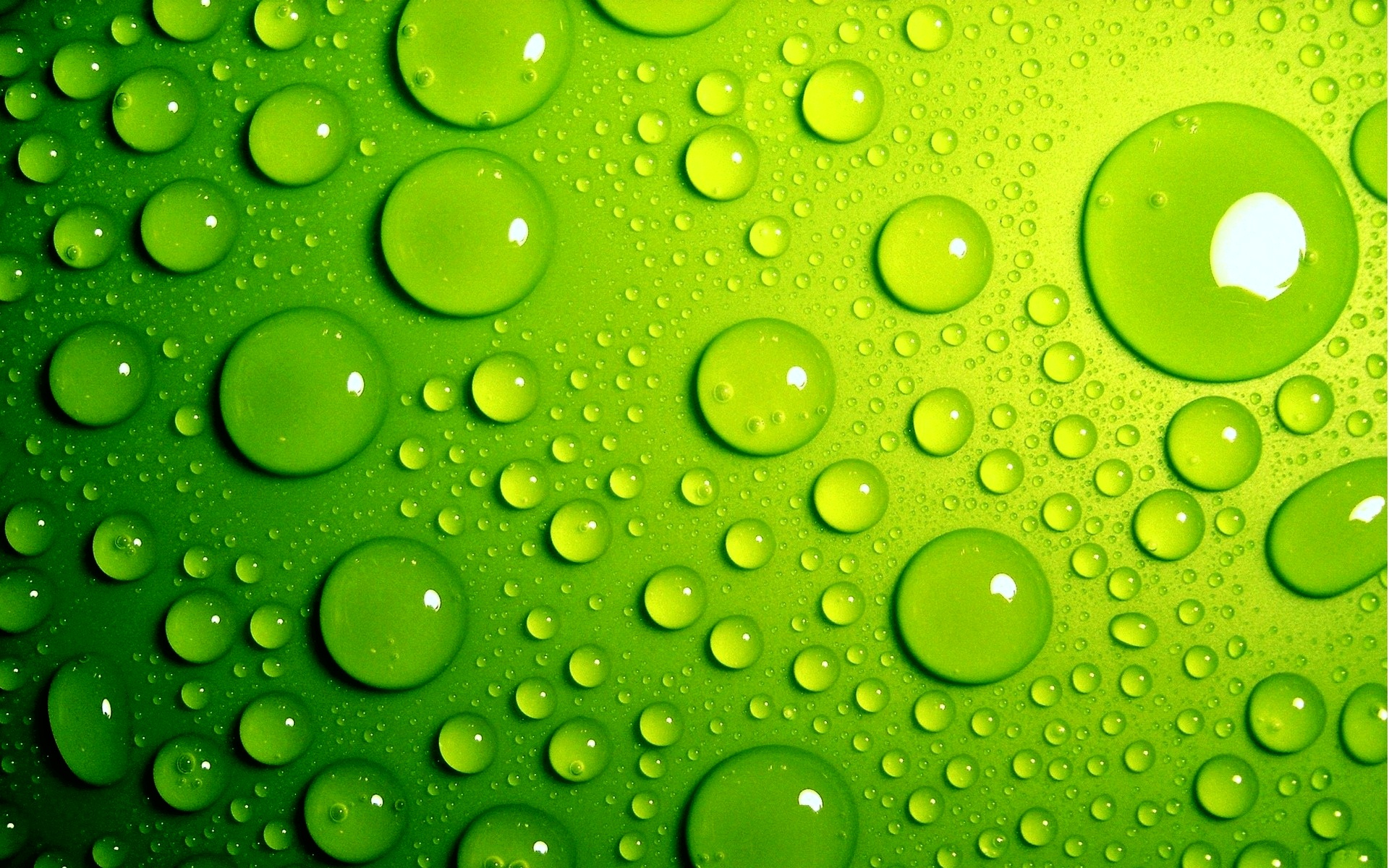 воды, воды