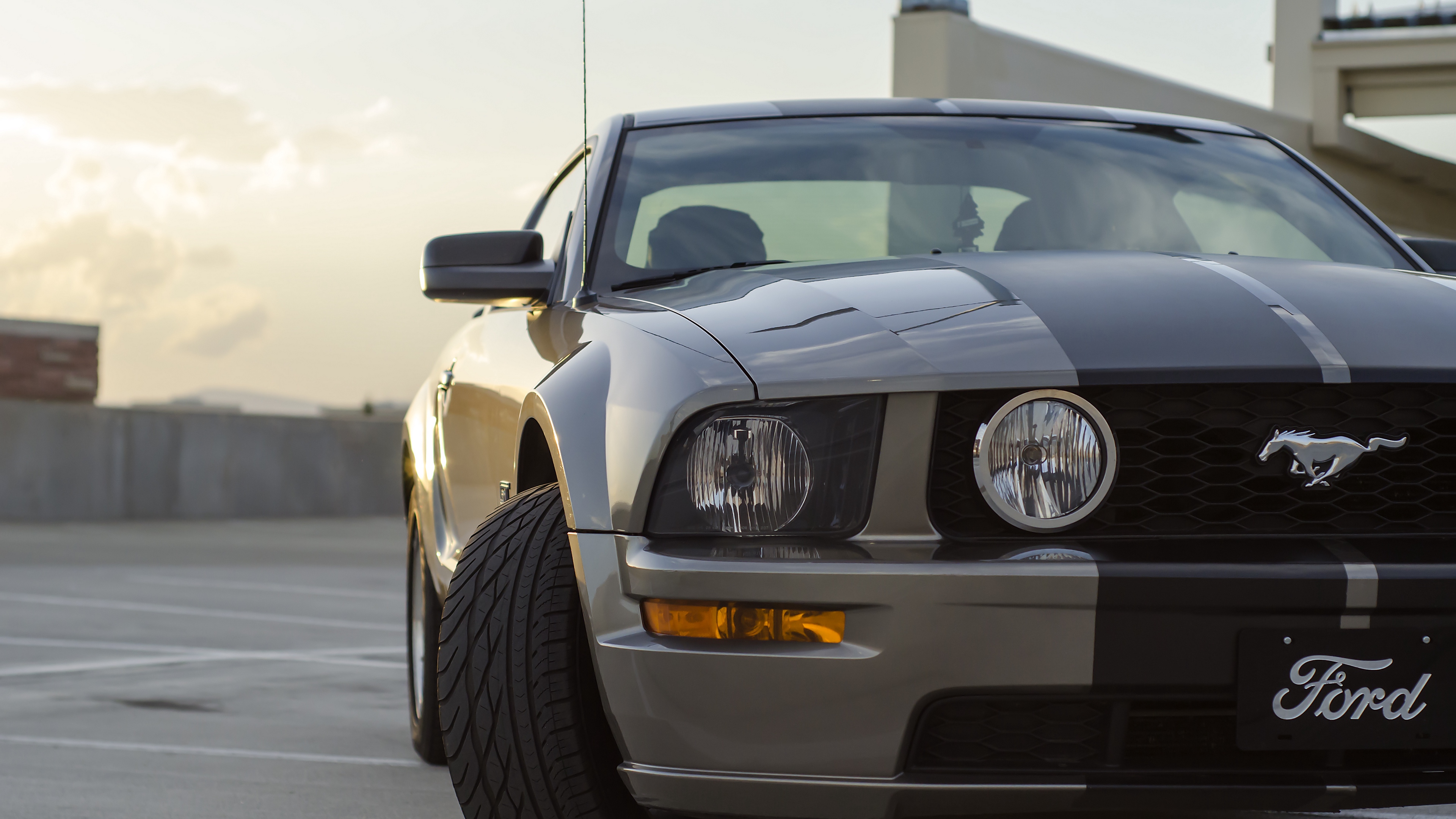 mustang, ford