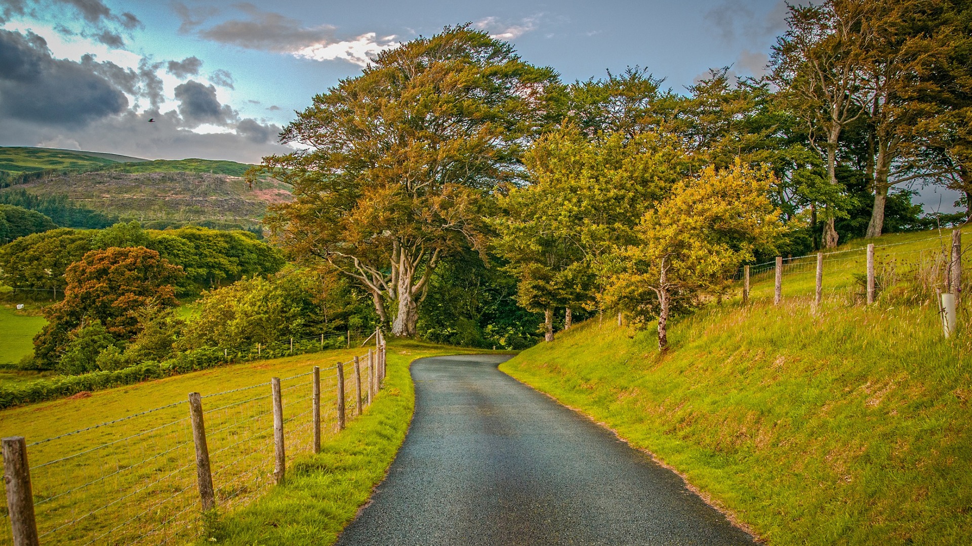 дрогу, трава