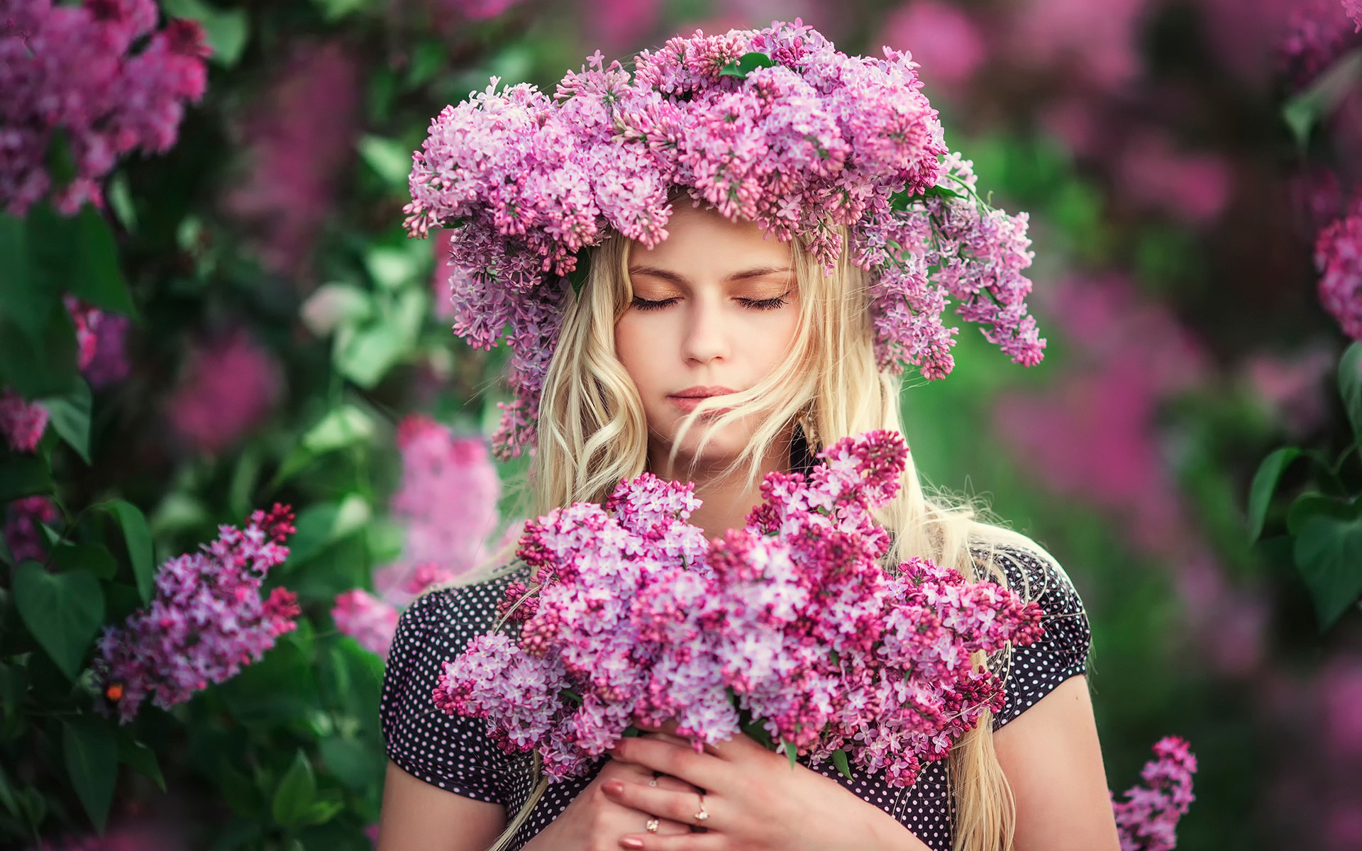 сиренев, садки