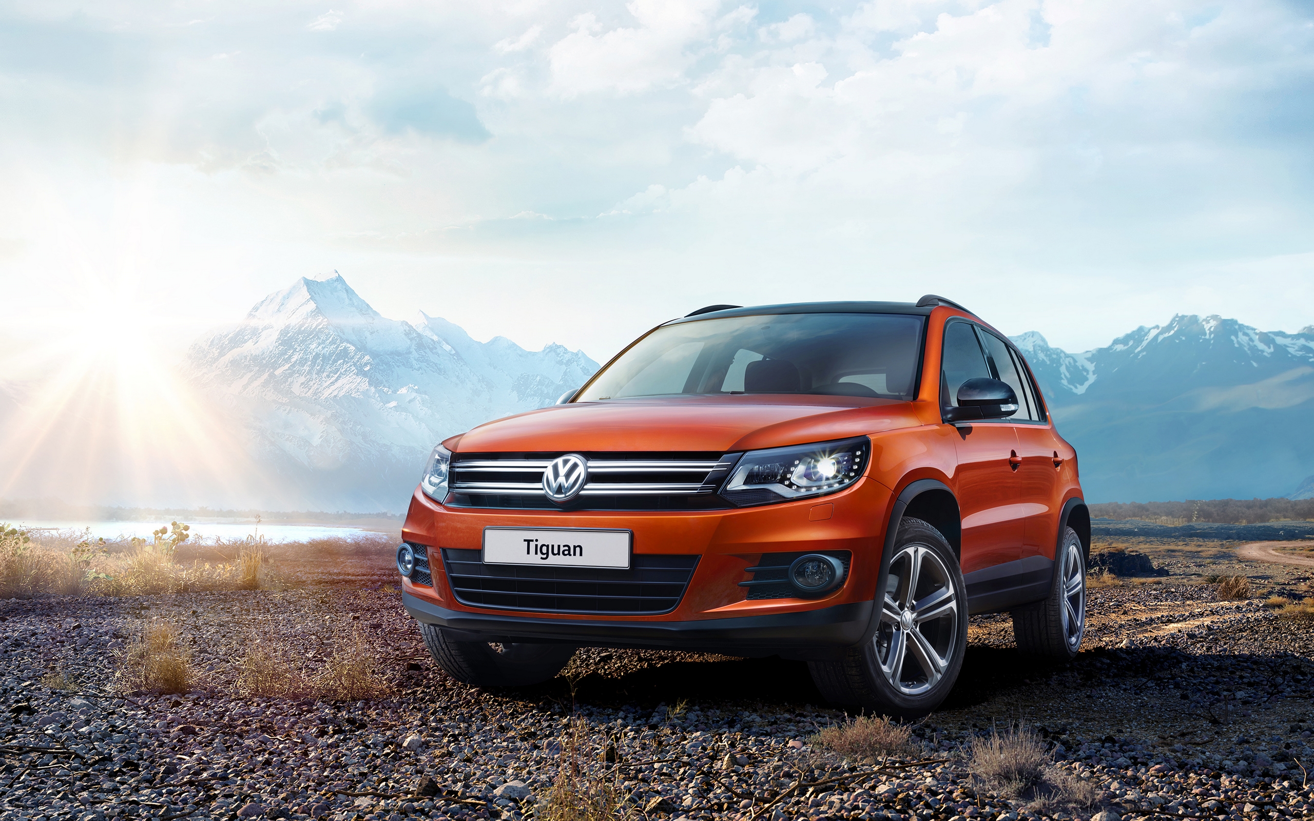 volkswagen, tiguan, new