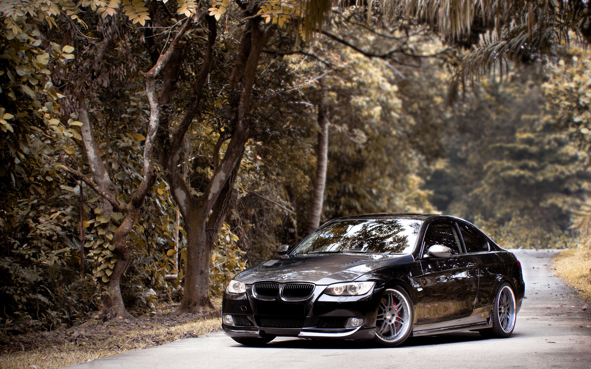 bmw, бмв, черный без 57741 разрешение 1920x1200