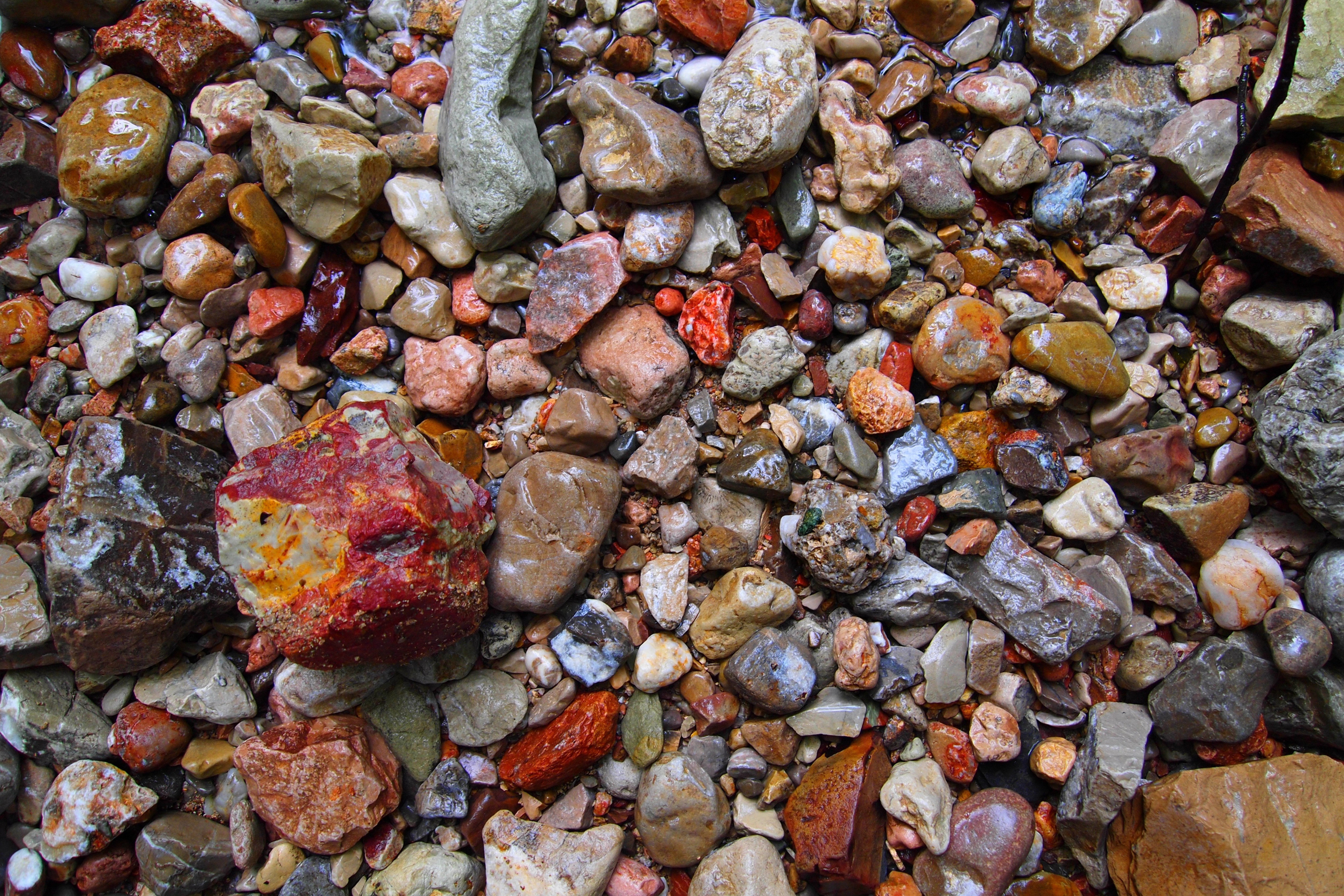 Wet stone. Галька в природе. Красивые камушки. Разноцветные камни. Разноцветные камушки.