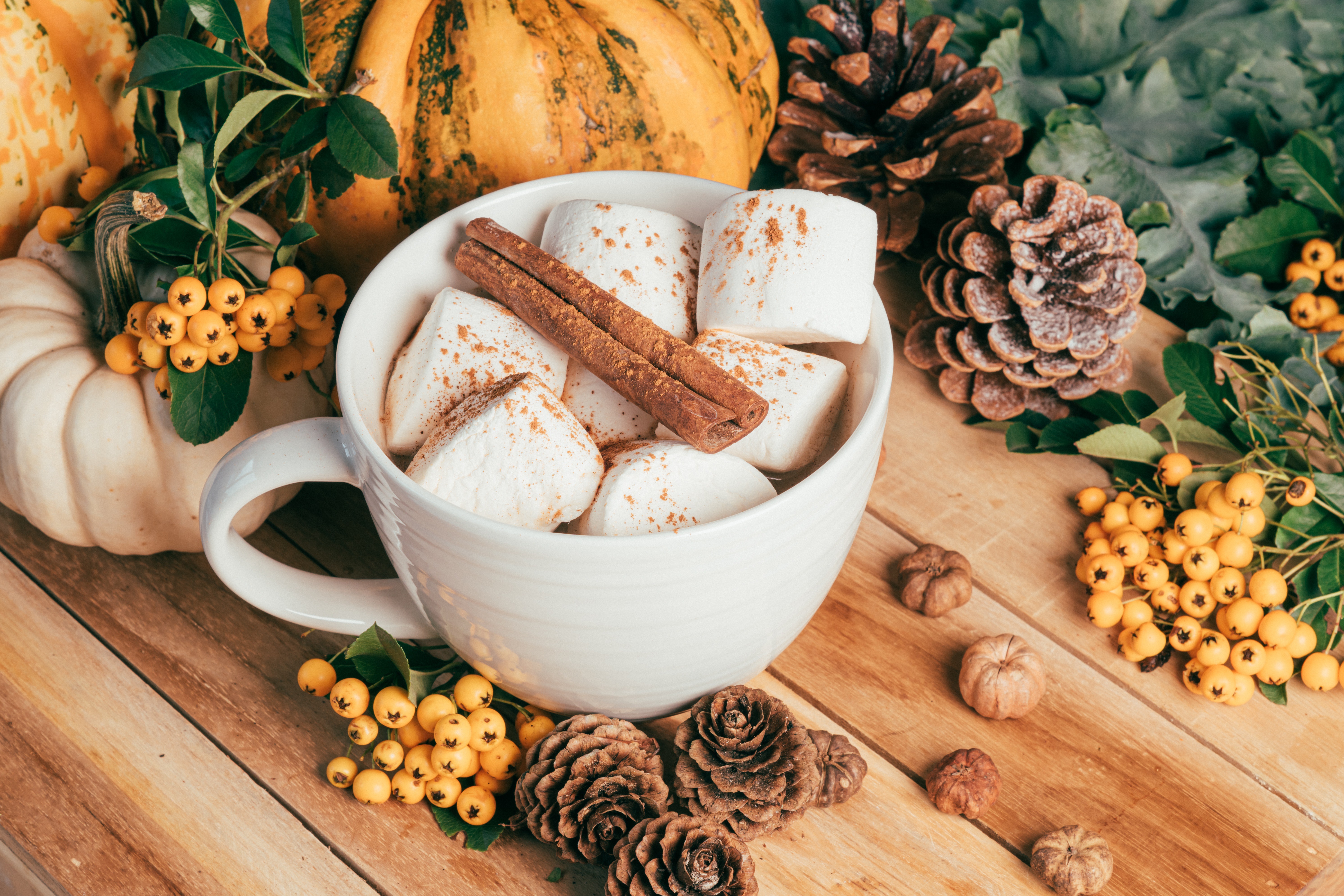 сегодня, февраль