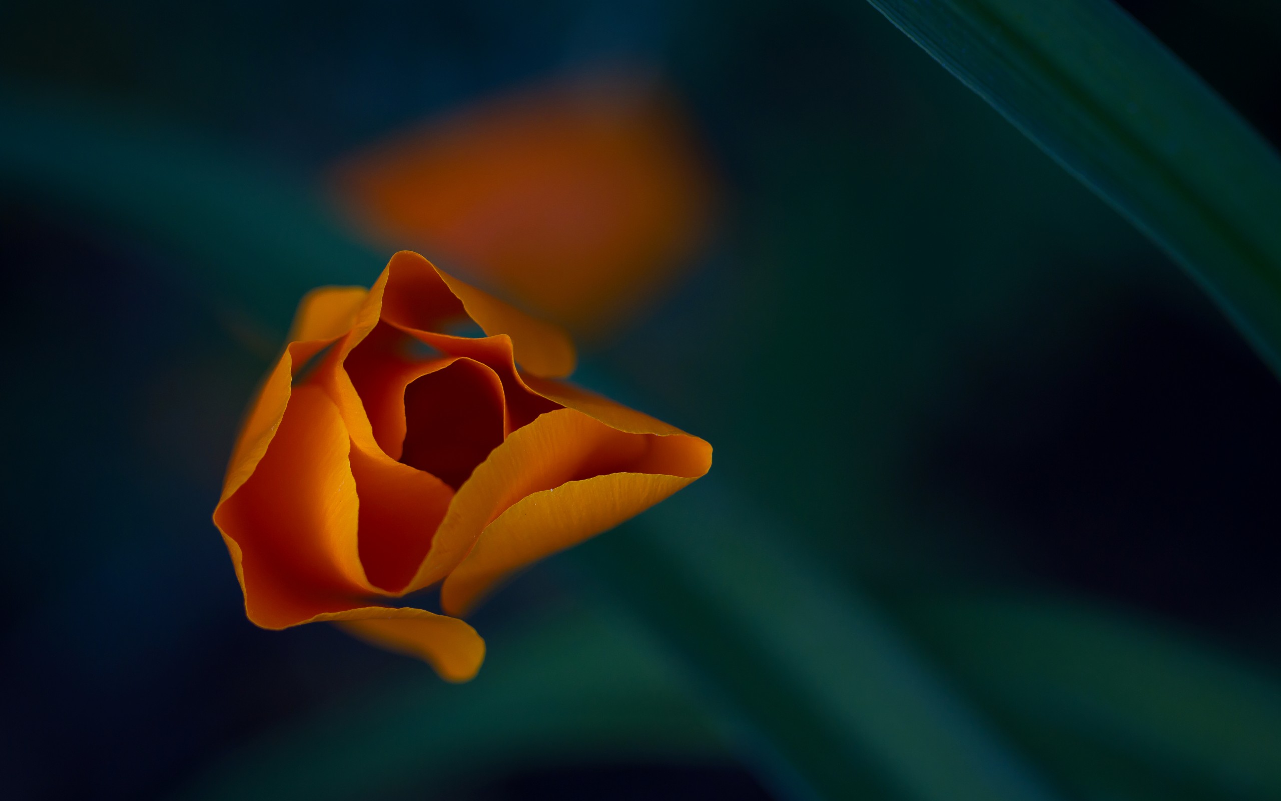 2560x1600
