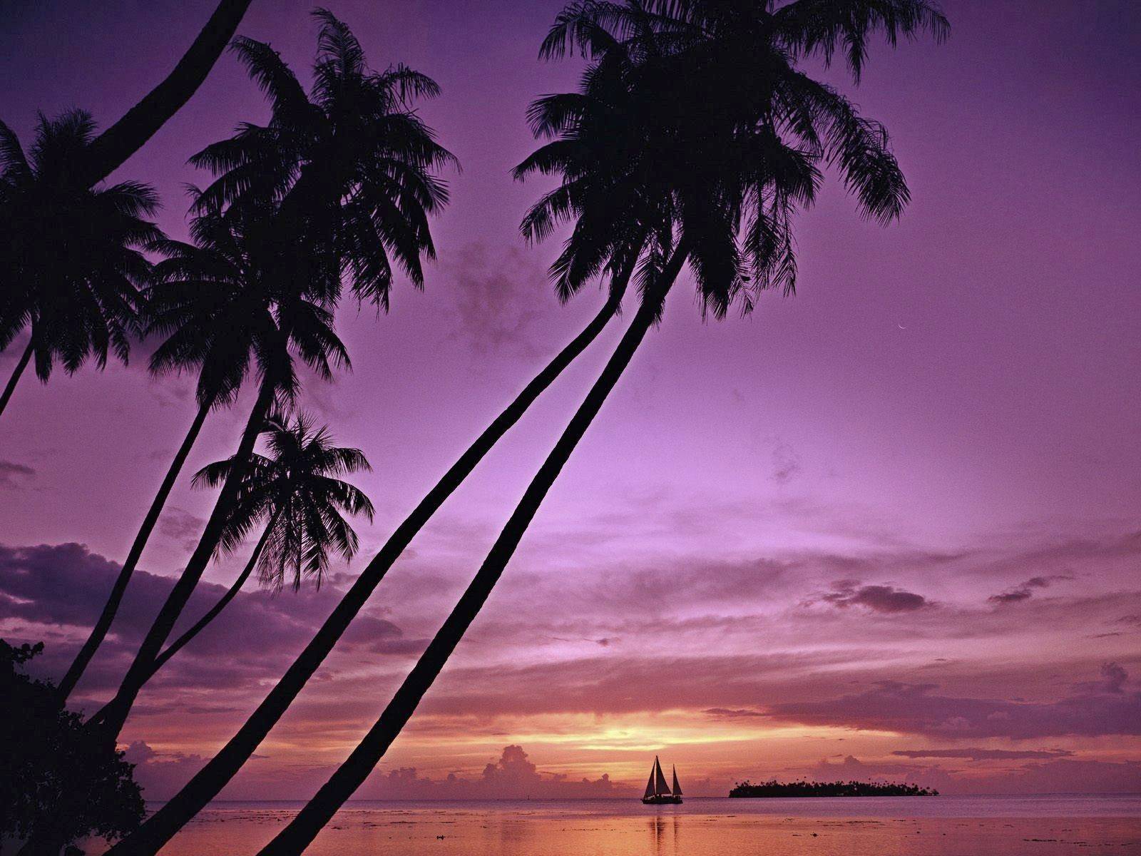tahiti, facebook