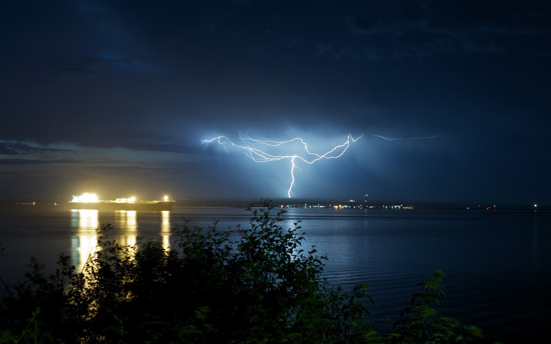 природа, листва, дерево