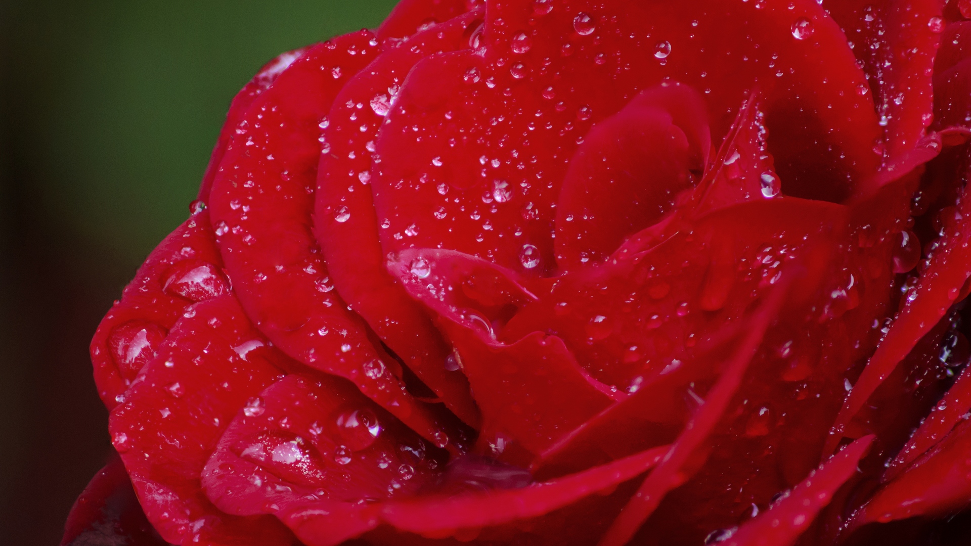 drizzle, small, definition