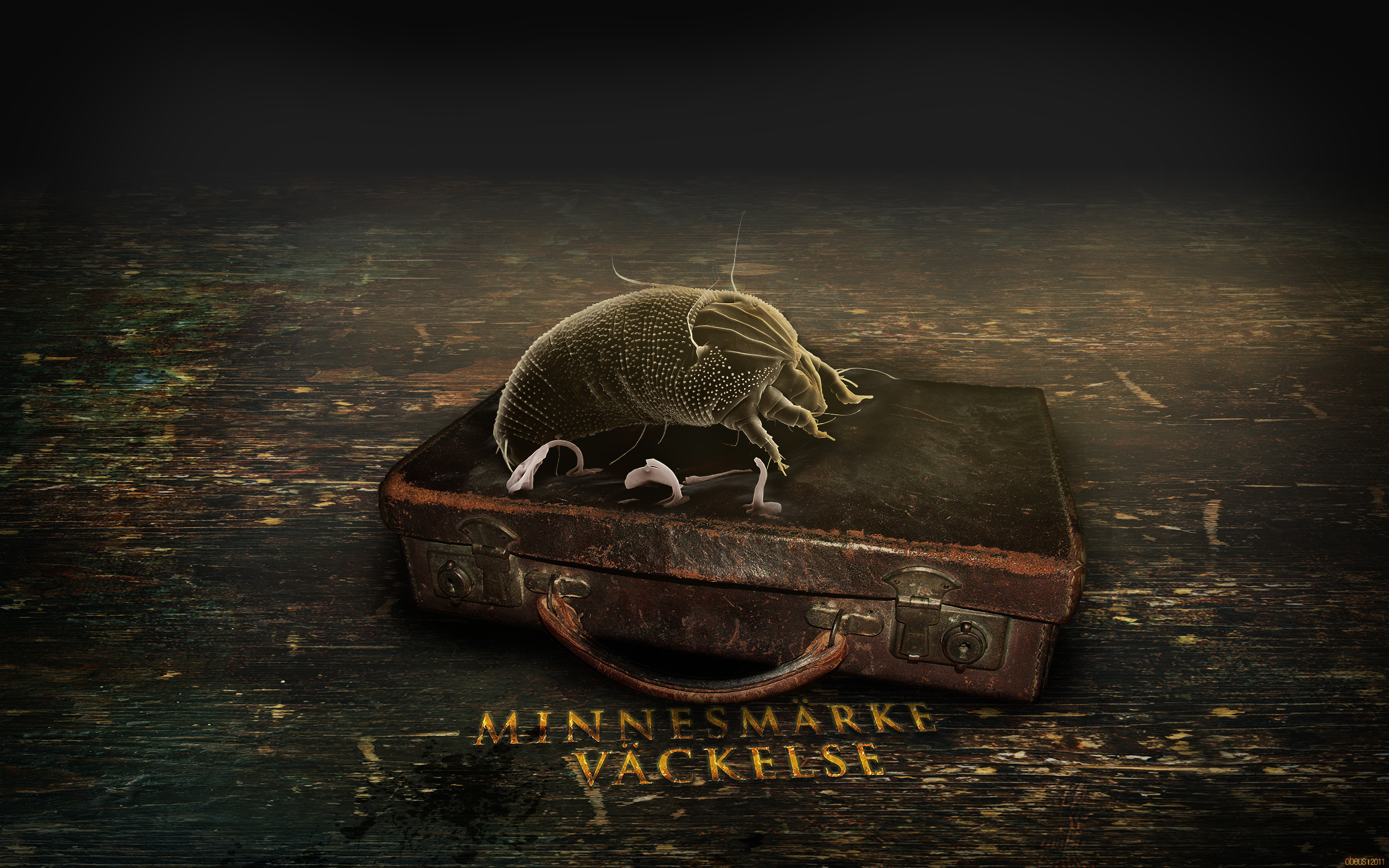 комнаты, чемоданы