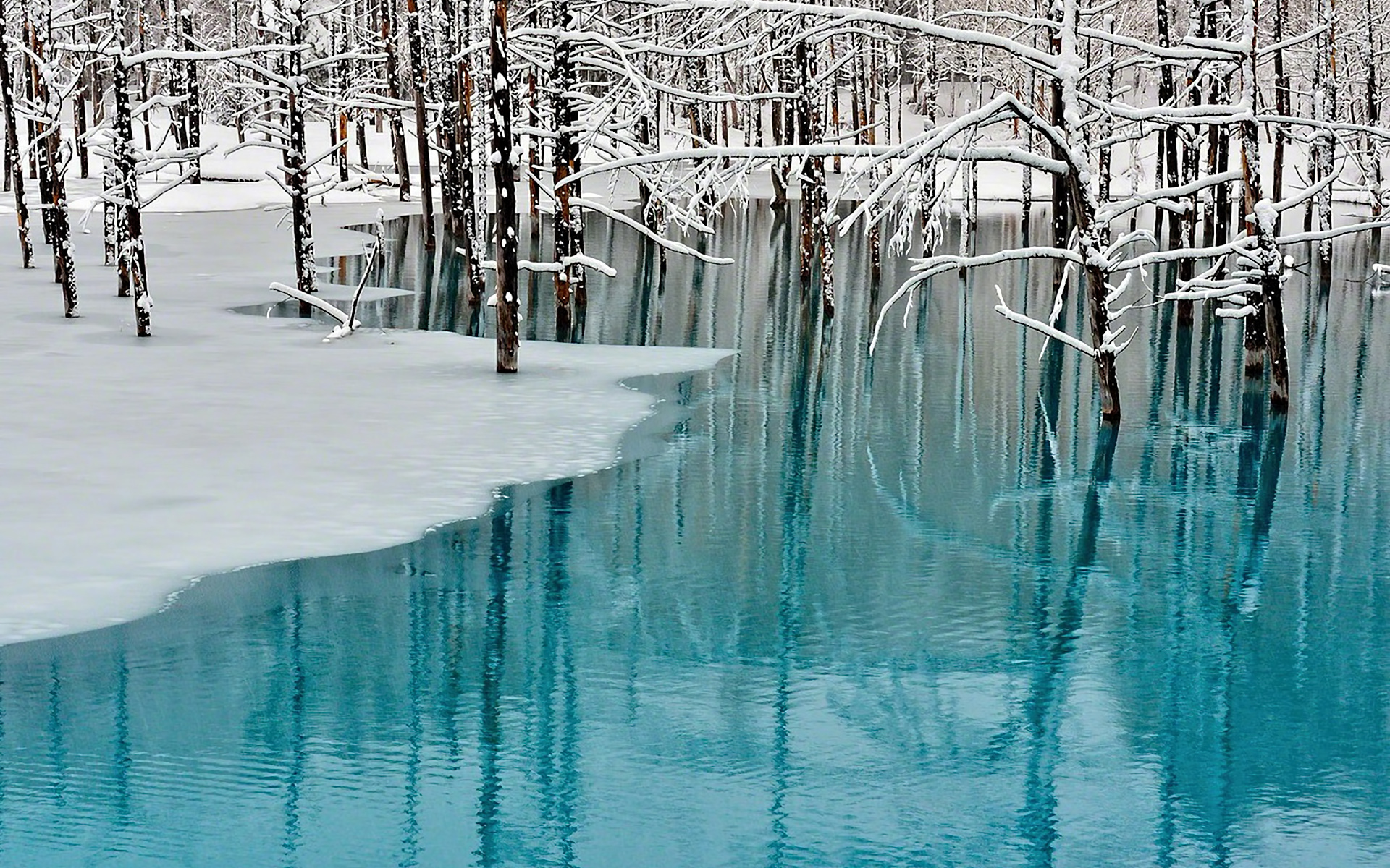 ретро, хоккайдо