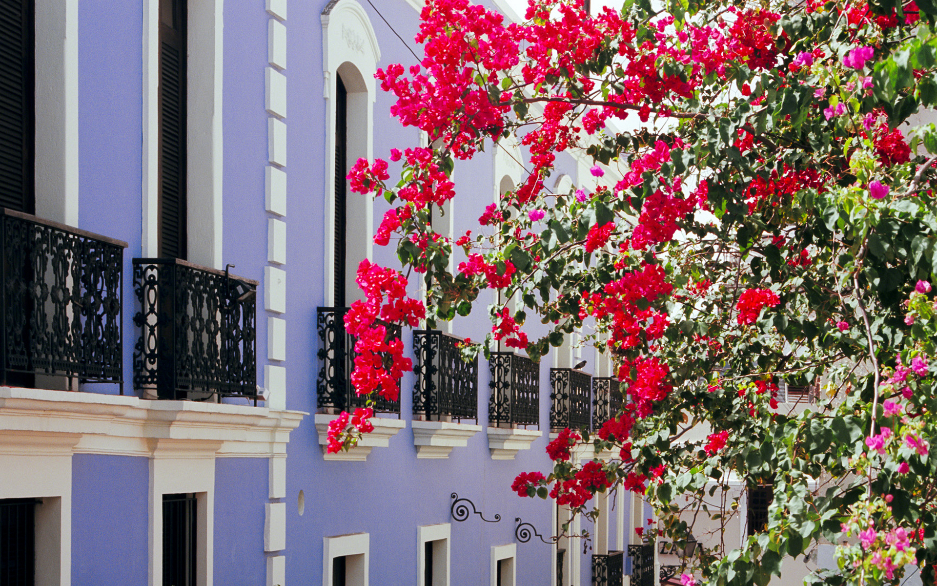 rico, puerto, фон