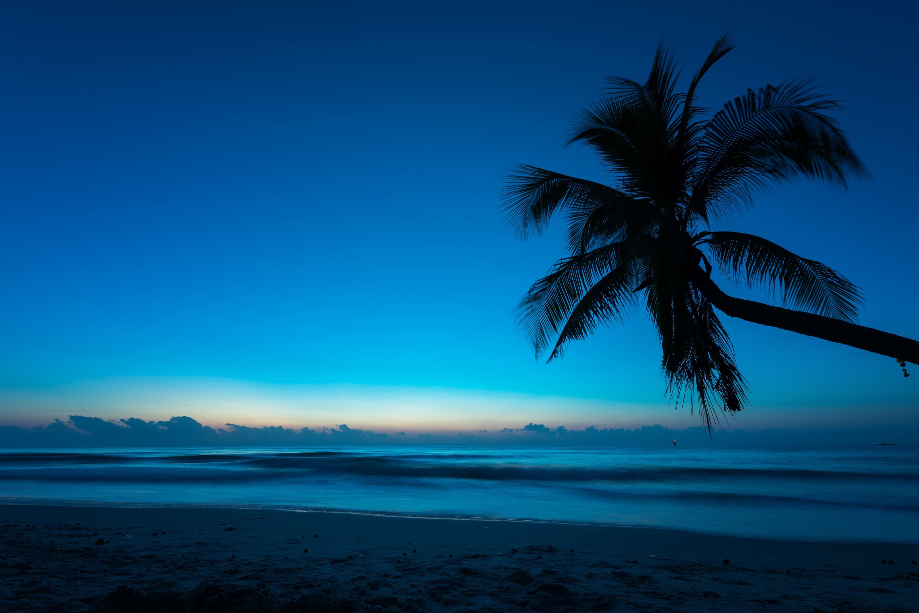 pantalla, paisaje, playa