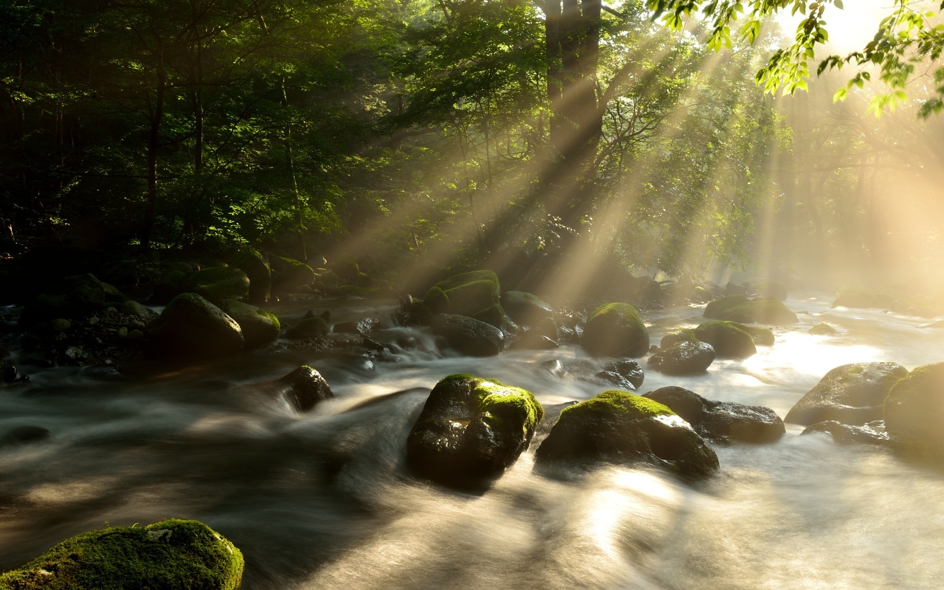ай, генерировать, фото