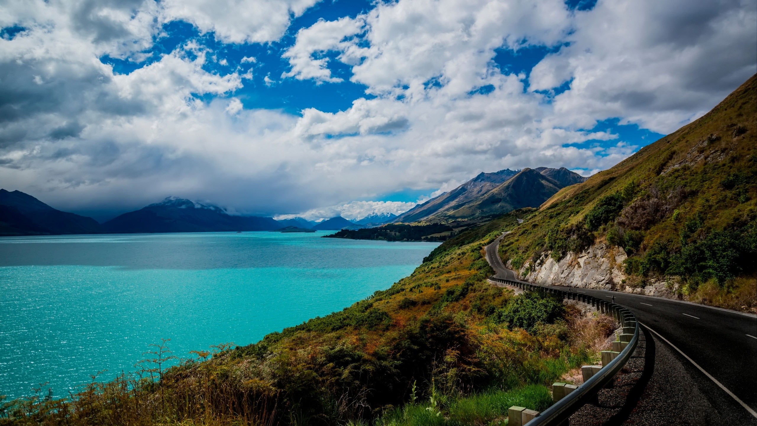 zealand, new, floor