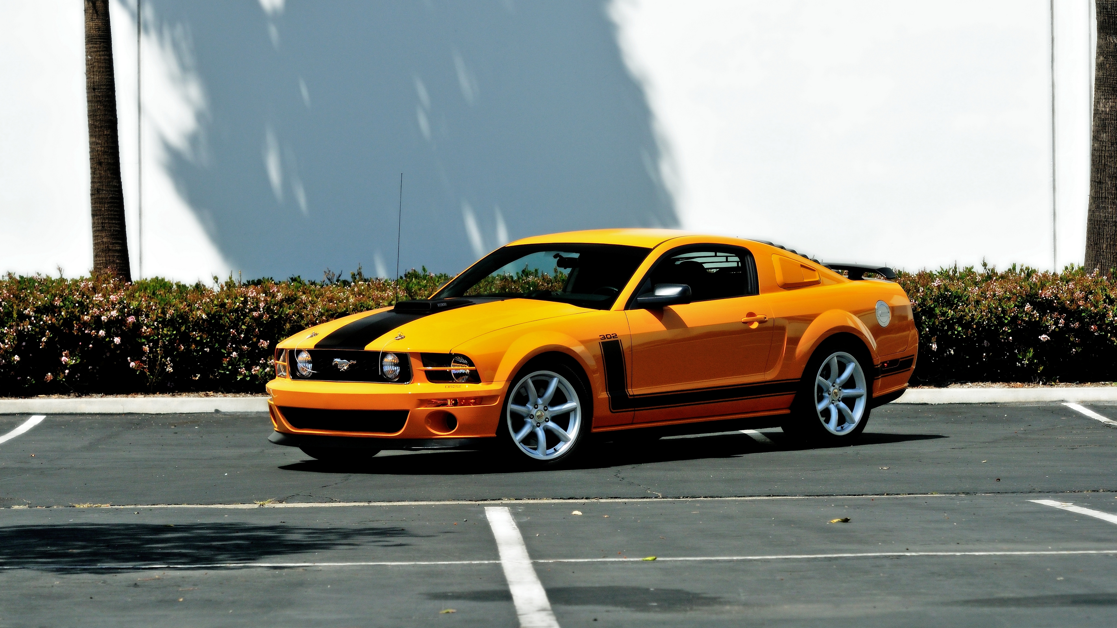 mustang, ford, jones