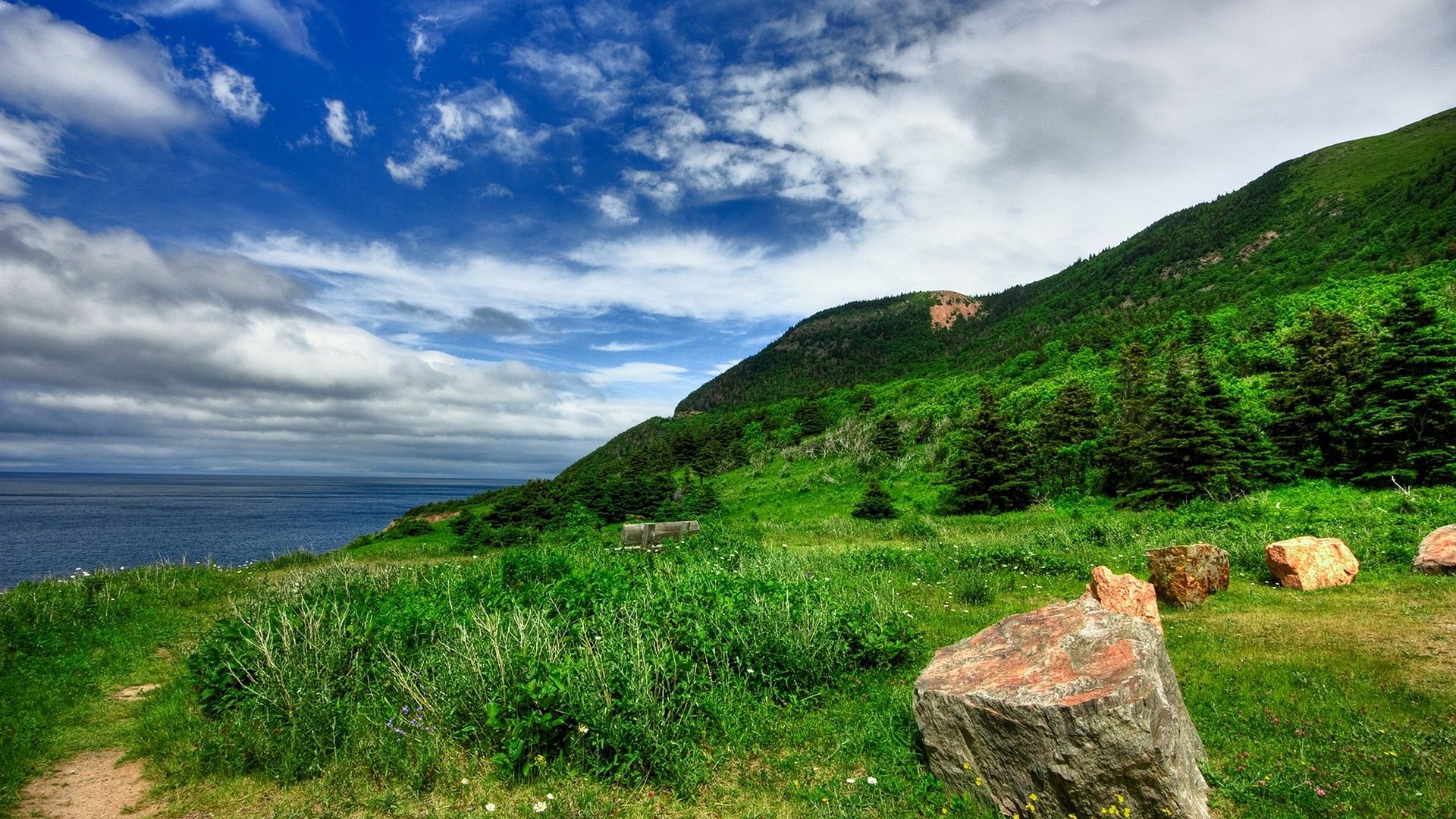 библию, библию