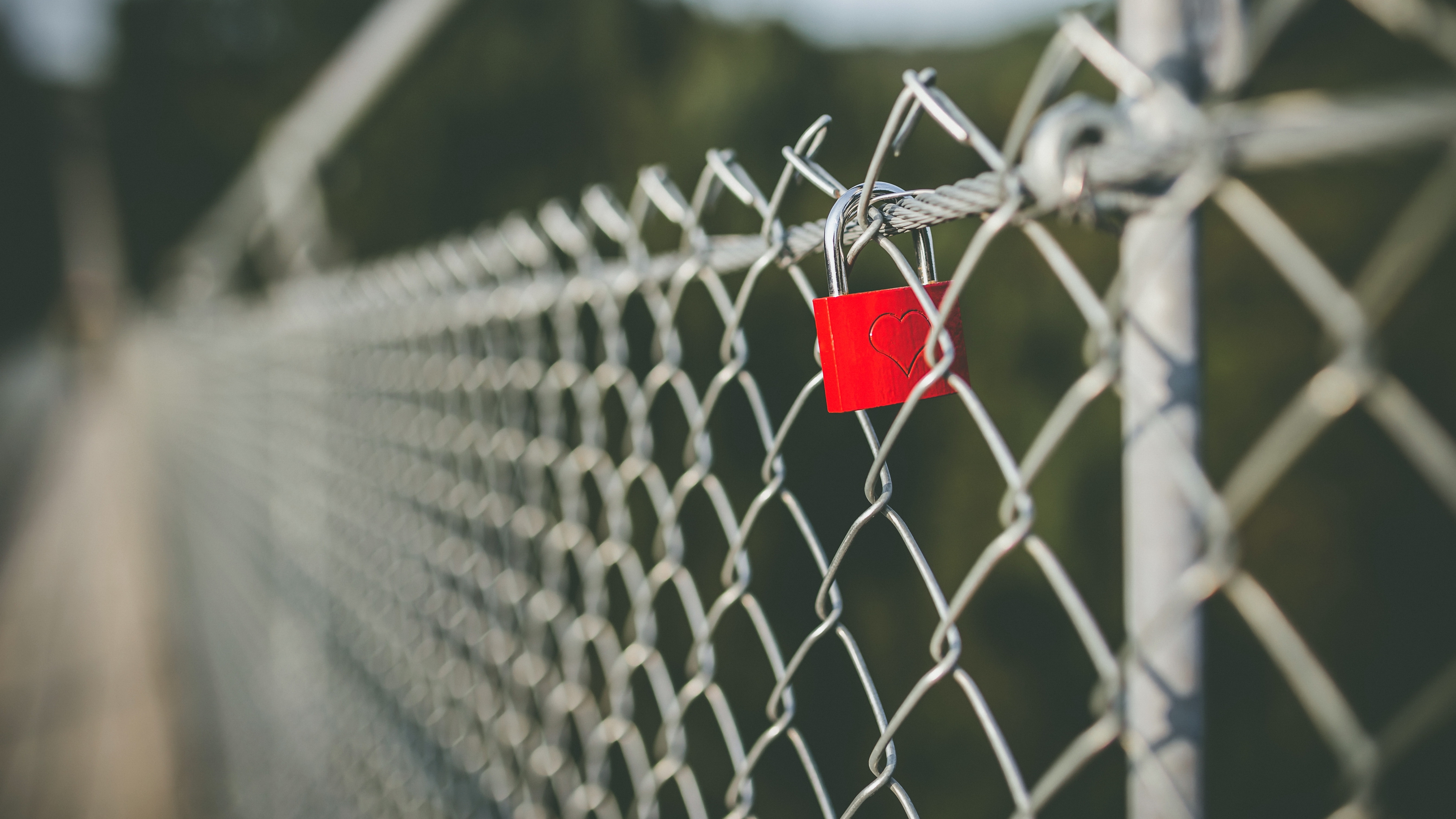padlock, забор, closeup