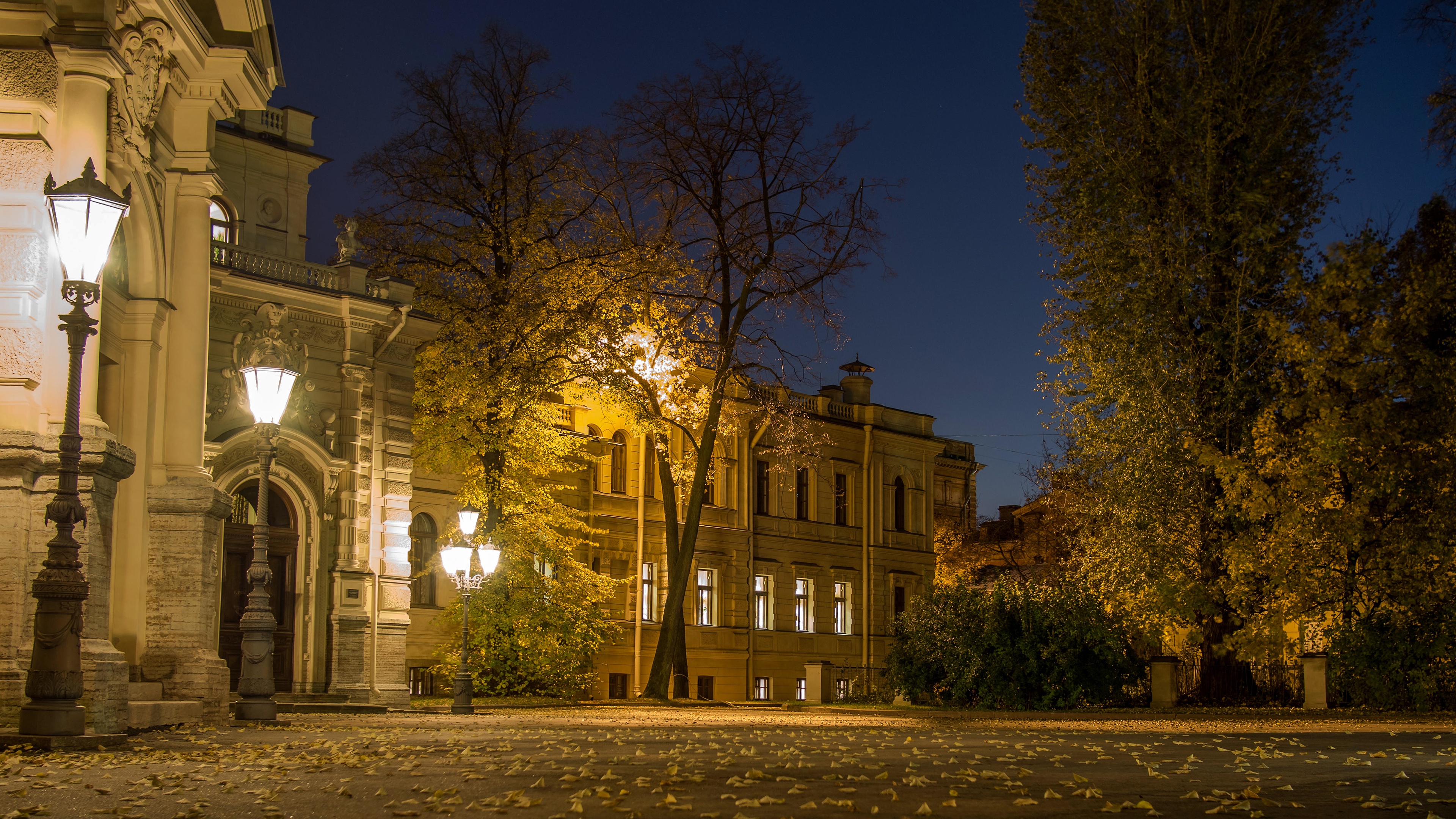 Алексеевский дворец санкт петербург. Воронцовский дворец Санкт-Петербург. Алексеевский дворец Петергофа. Ночной Воронцовский дворец.