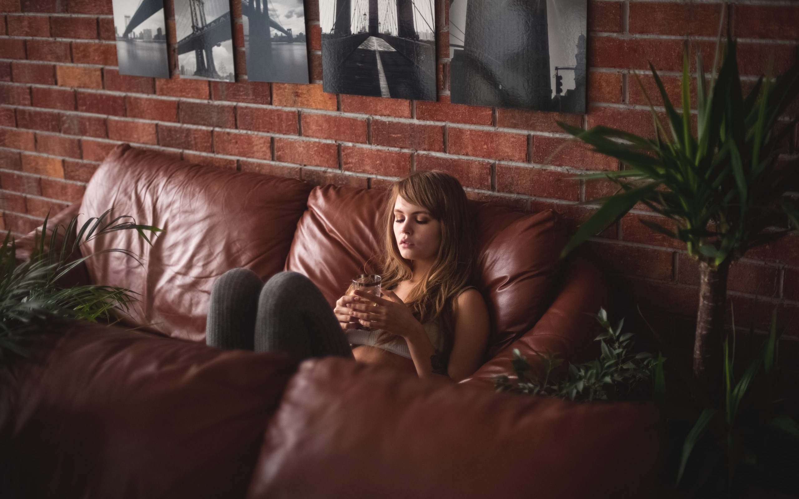 крышка, настастяне, следующий