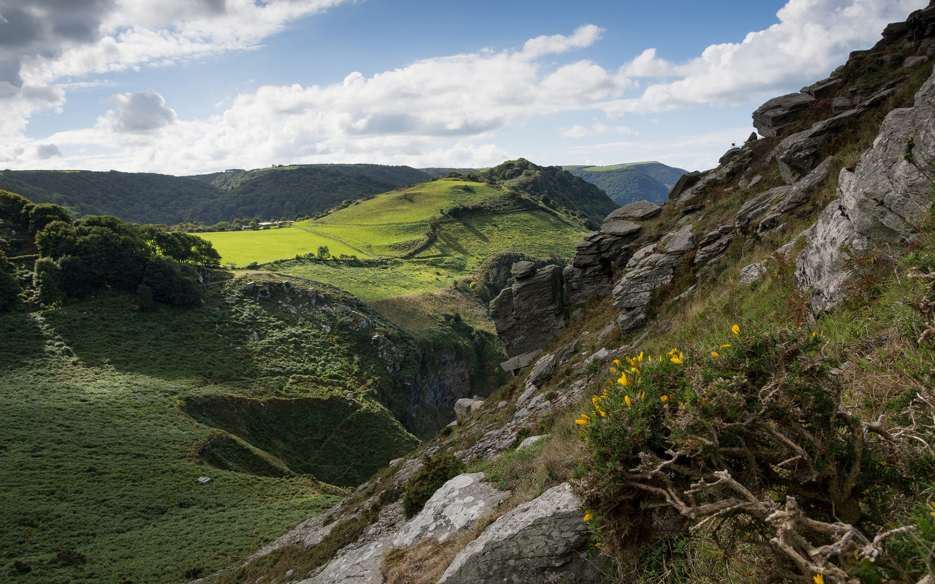 принадлежит