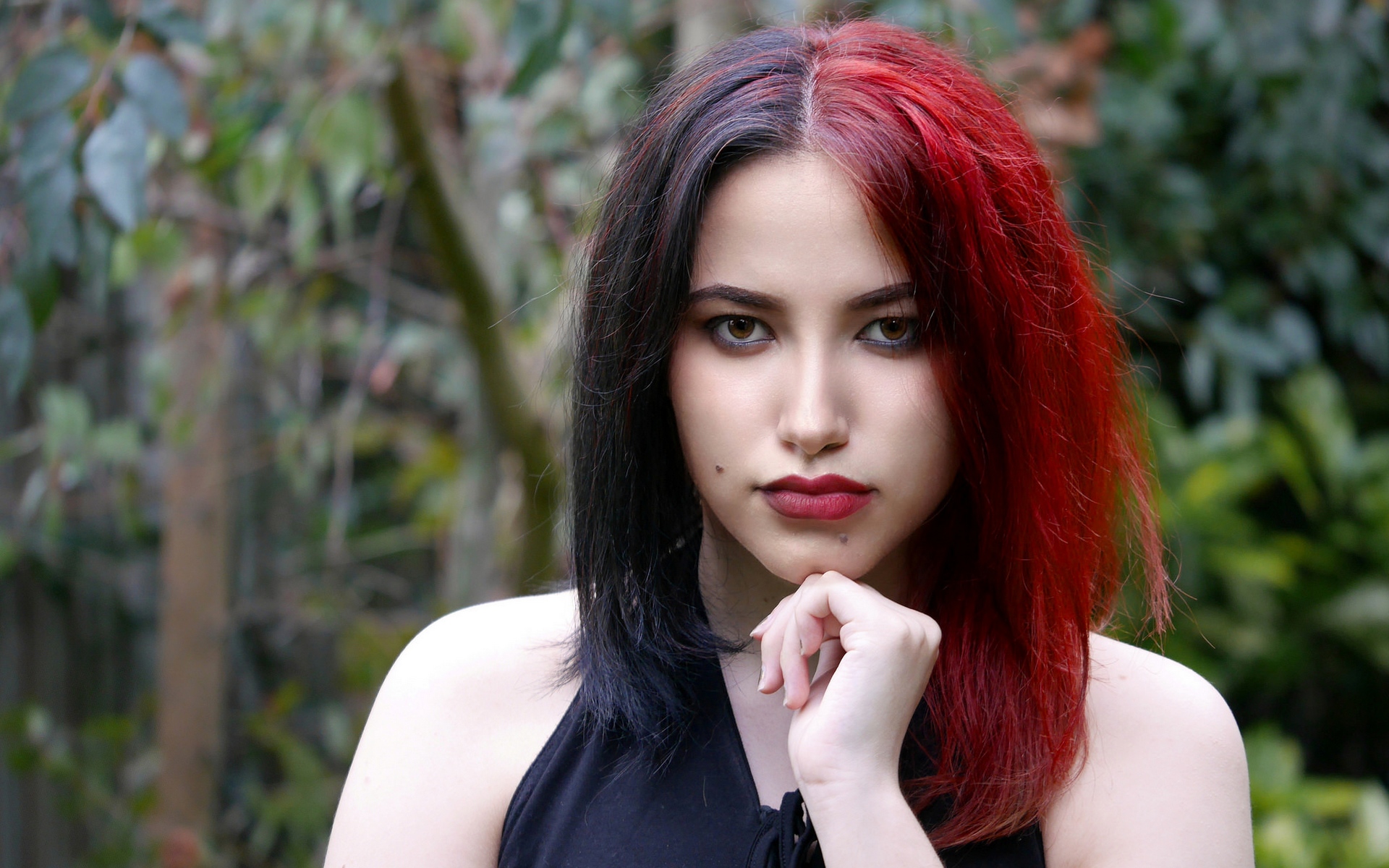 фото, лентяй, фликер