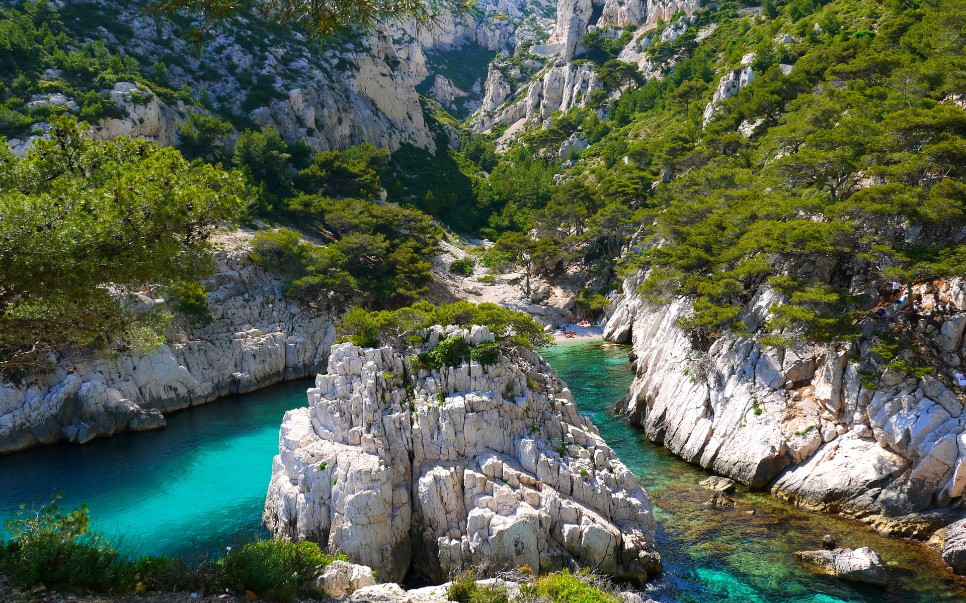 камень, растительность