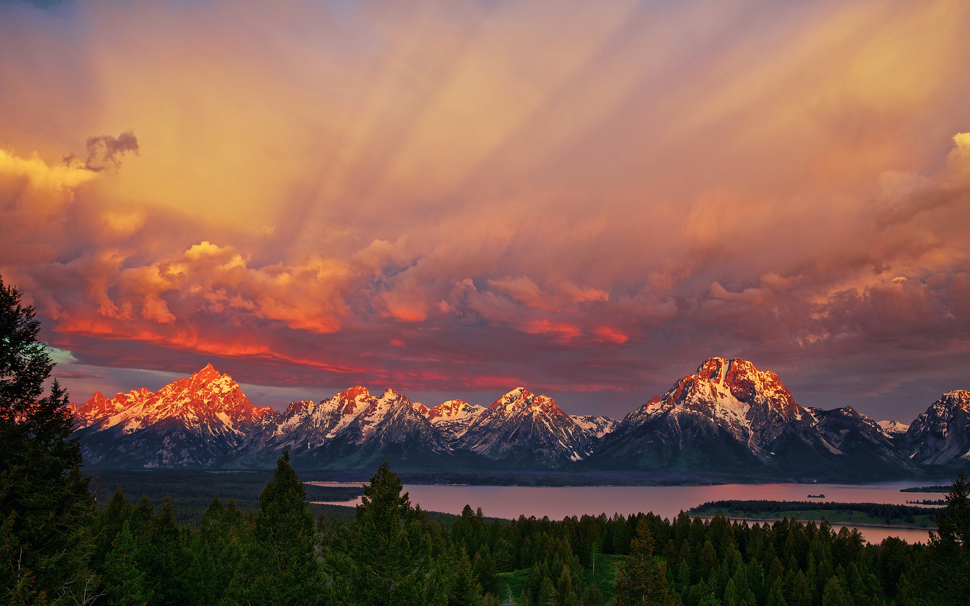 жизнь, день рождения, парк
