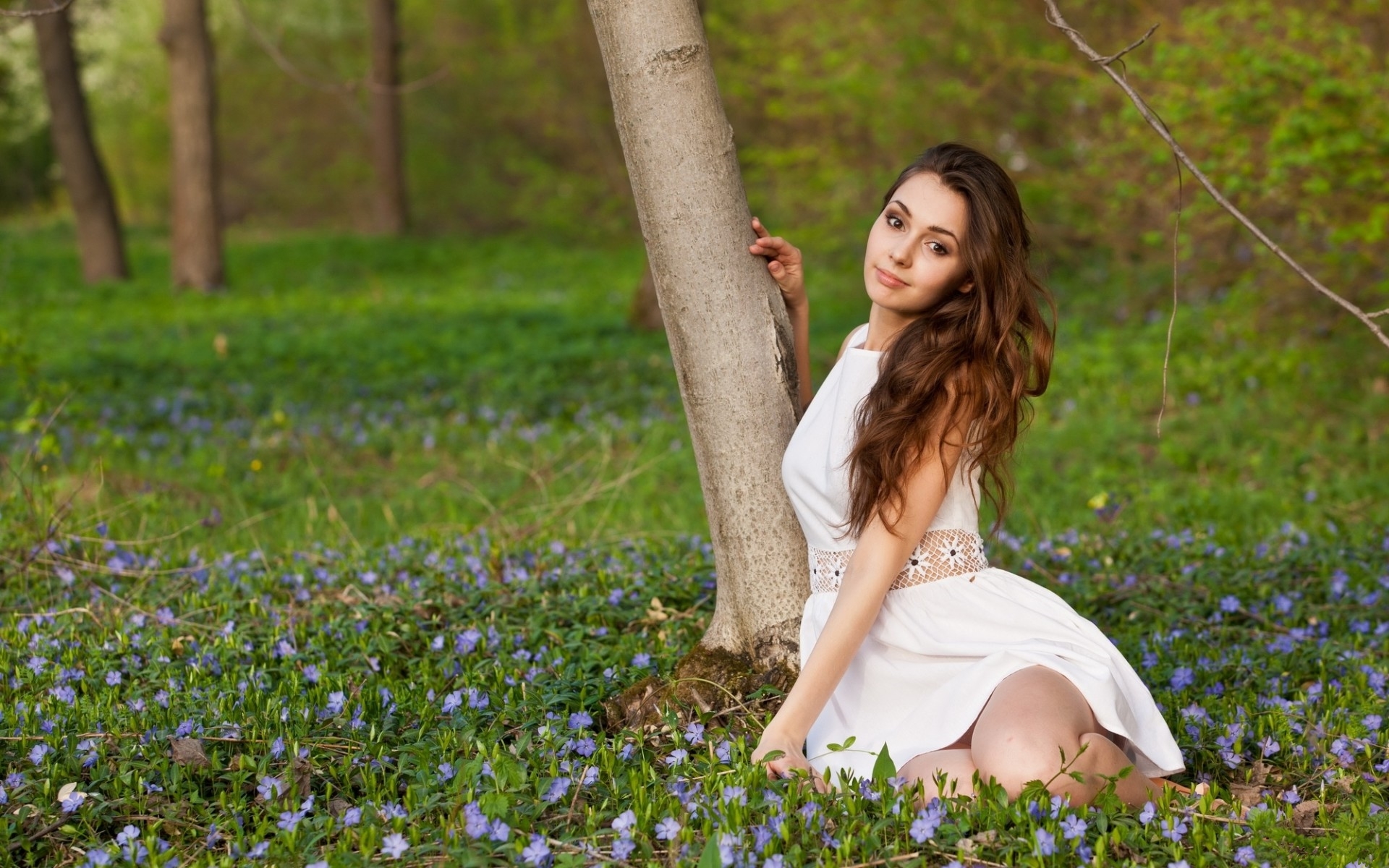 приложение, фото