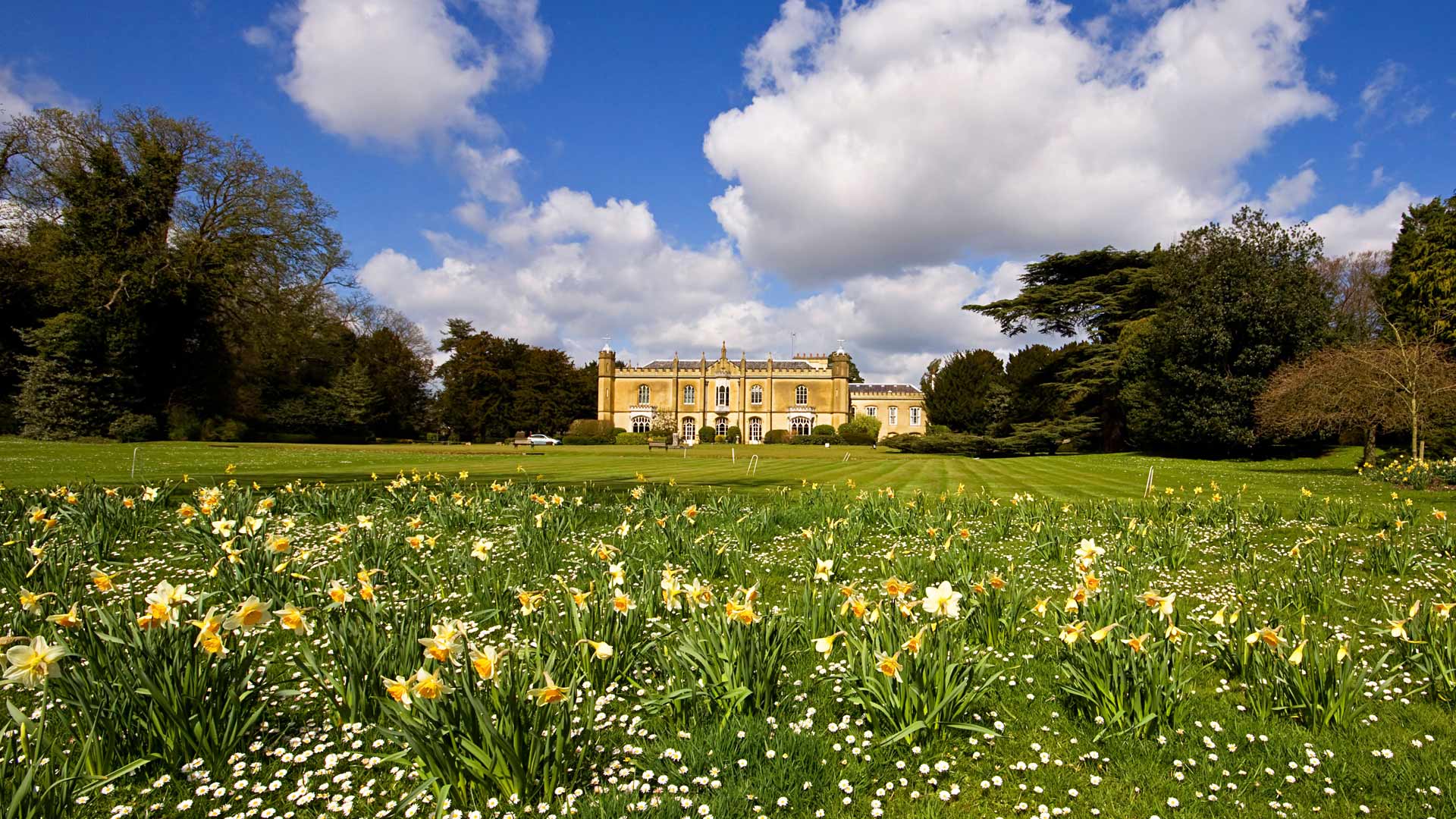 фото, alamymissenden