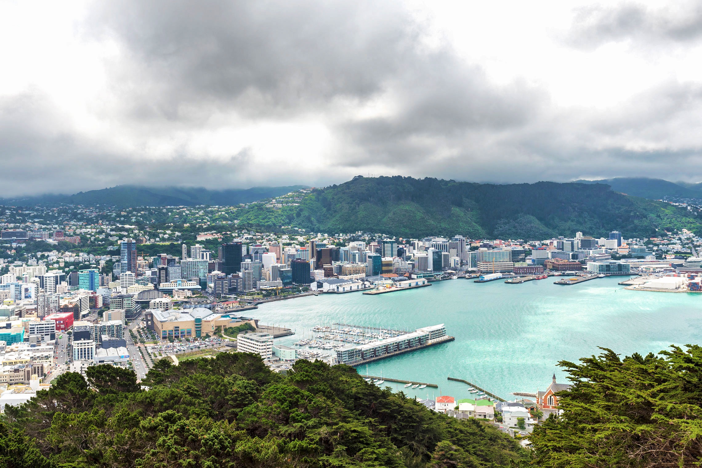 new, zealand, wellington