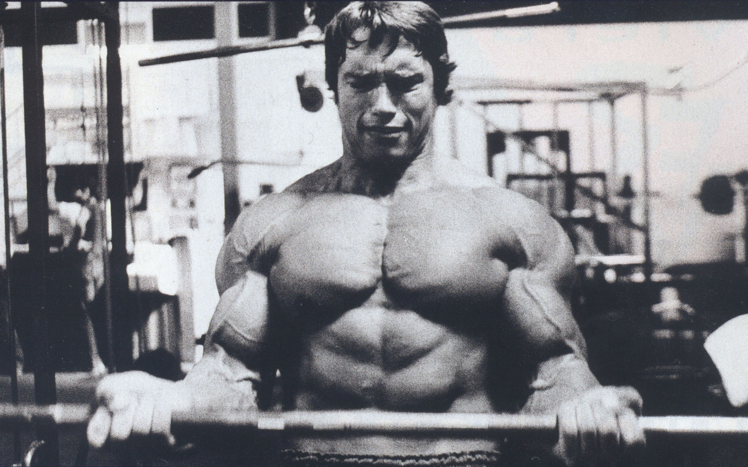 schwarzenegger, arnold