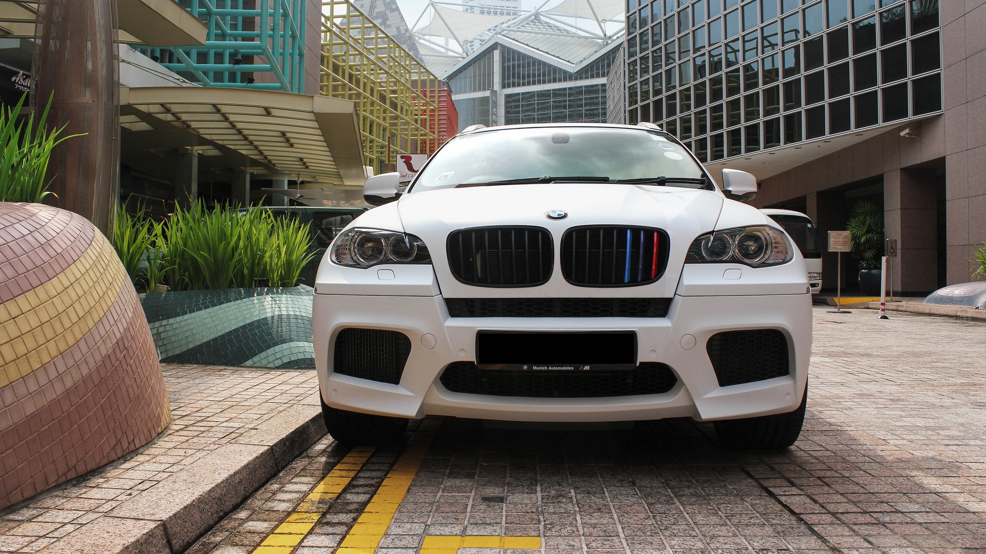 bmw, тюльцин, белый