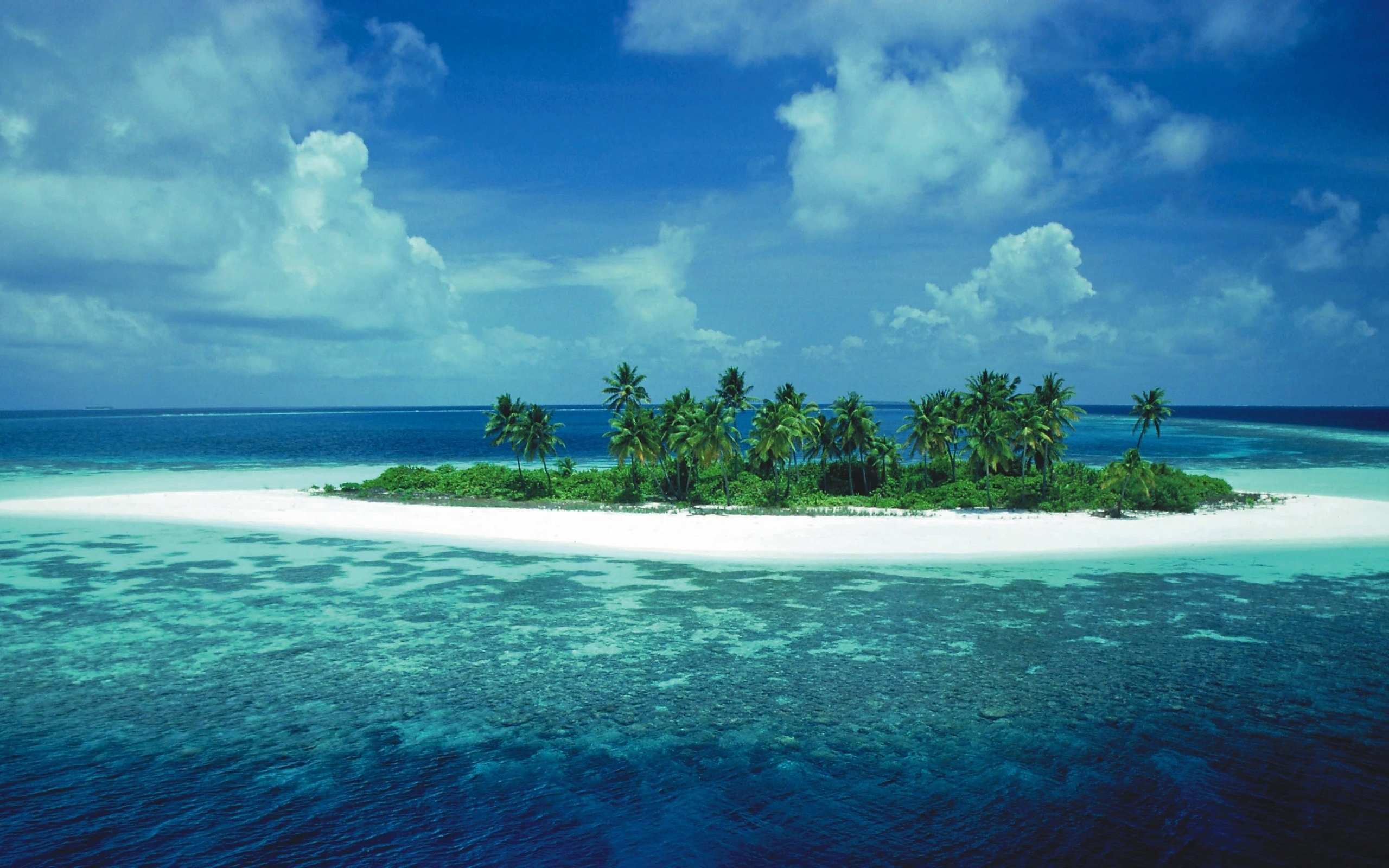 Тихий океан 6 букв. Необитаемый Атолл Дюси. Остров в океане. Острова и море. Тропический остров.