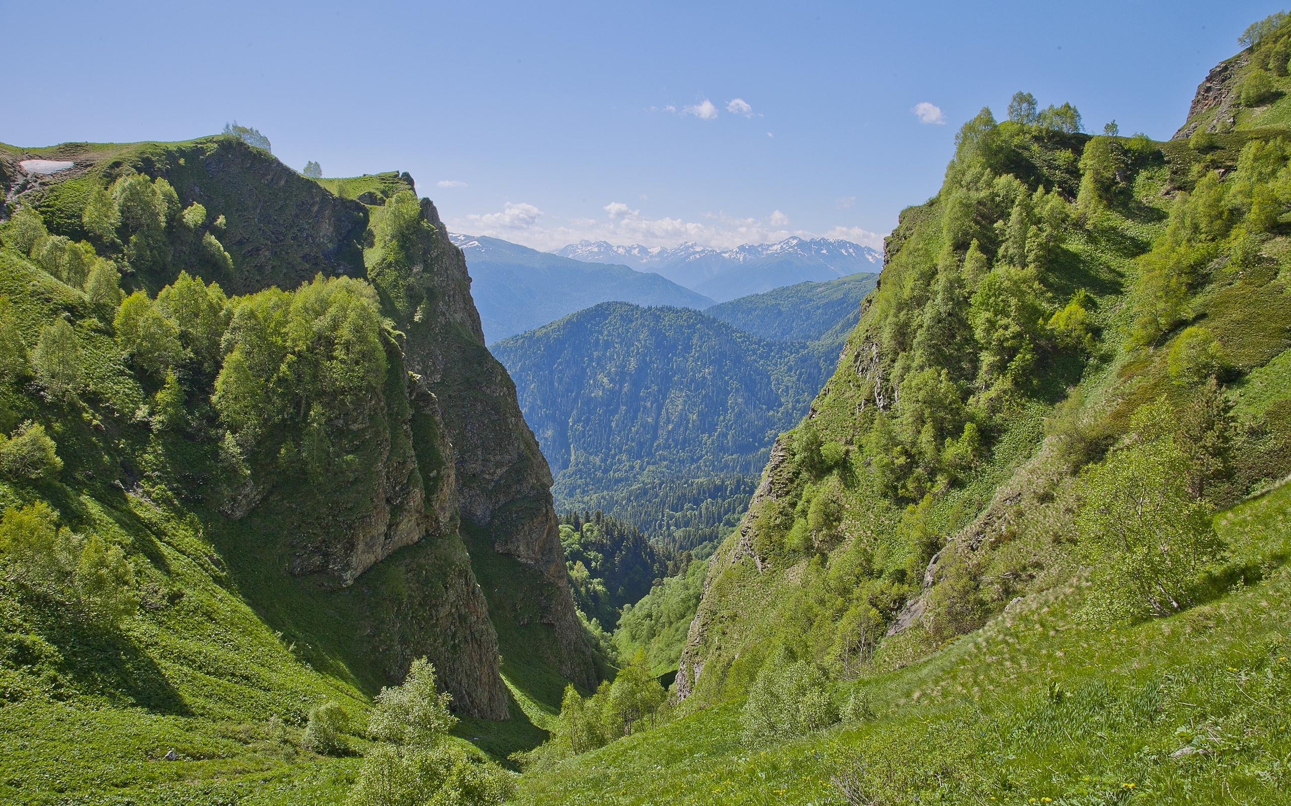 prudencia, есть