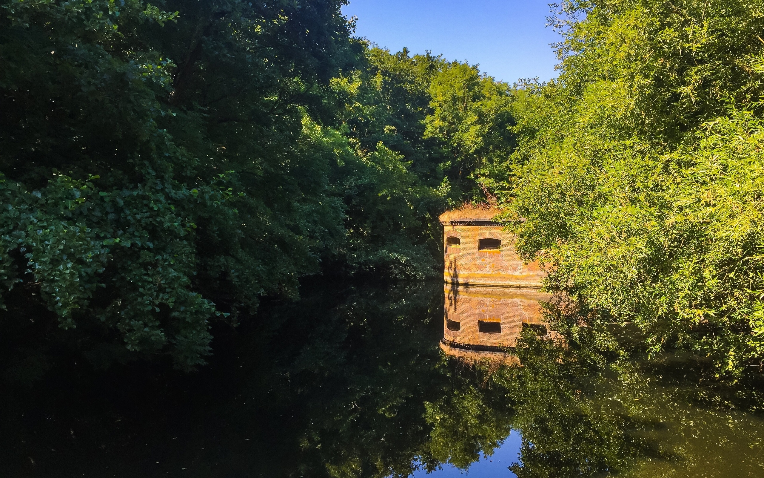 regal a, libre, pxfuelp gina