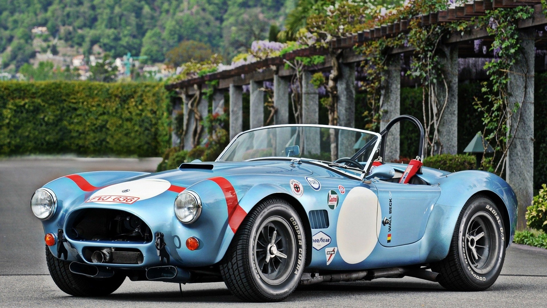 cobra, shelby, csx