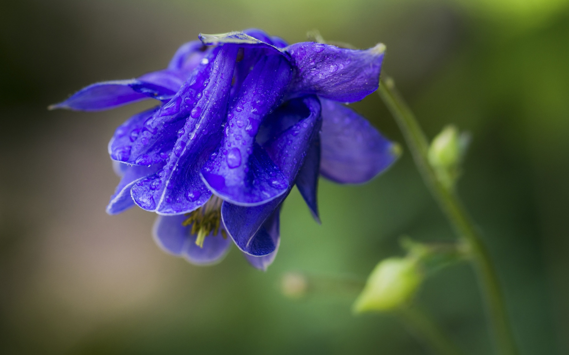 azul, синий, цвет