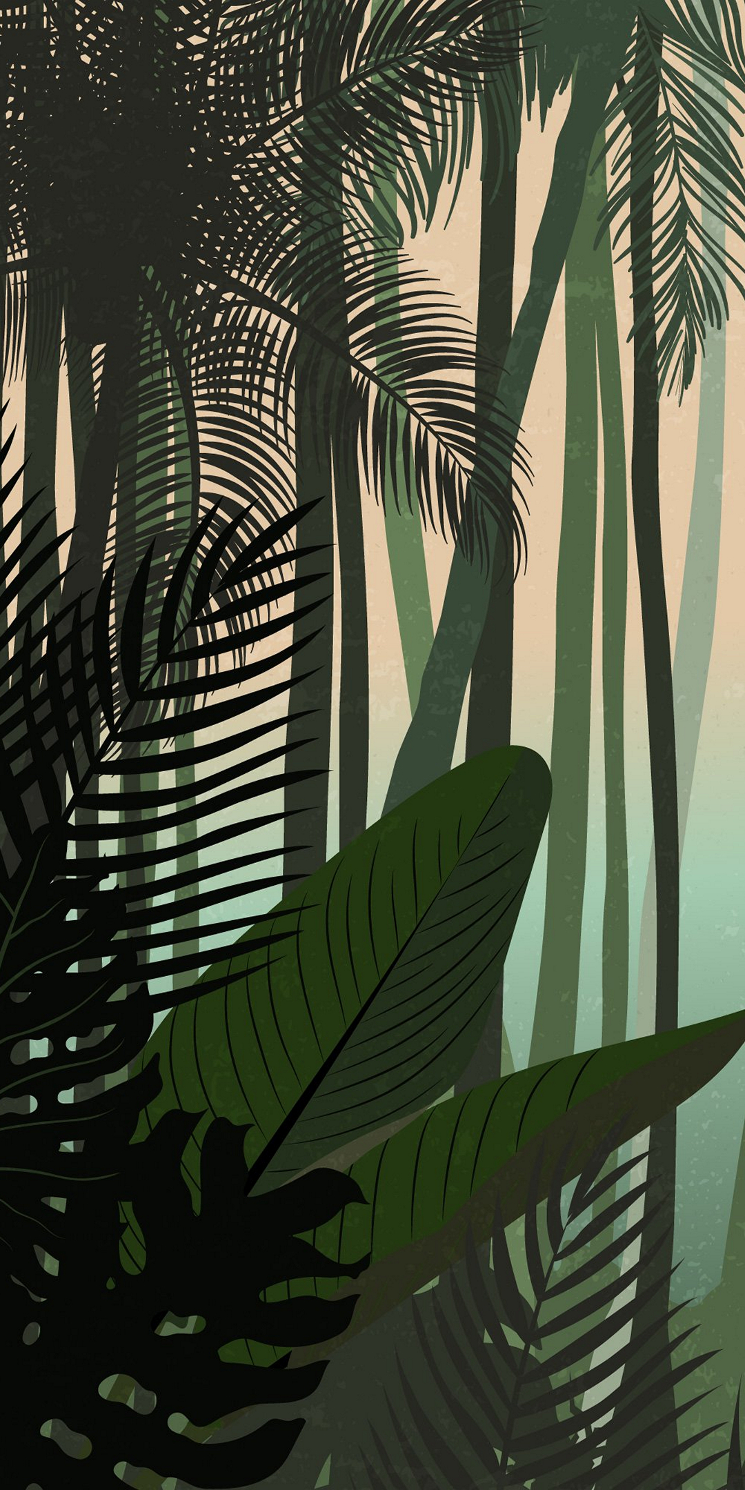 arecacea, wikipediaperevod, palm