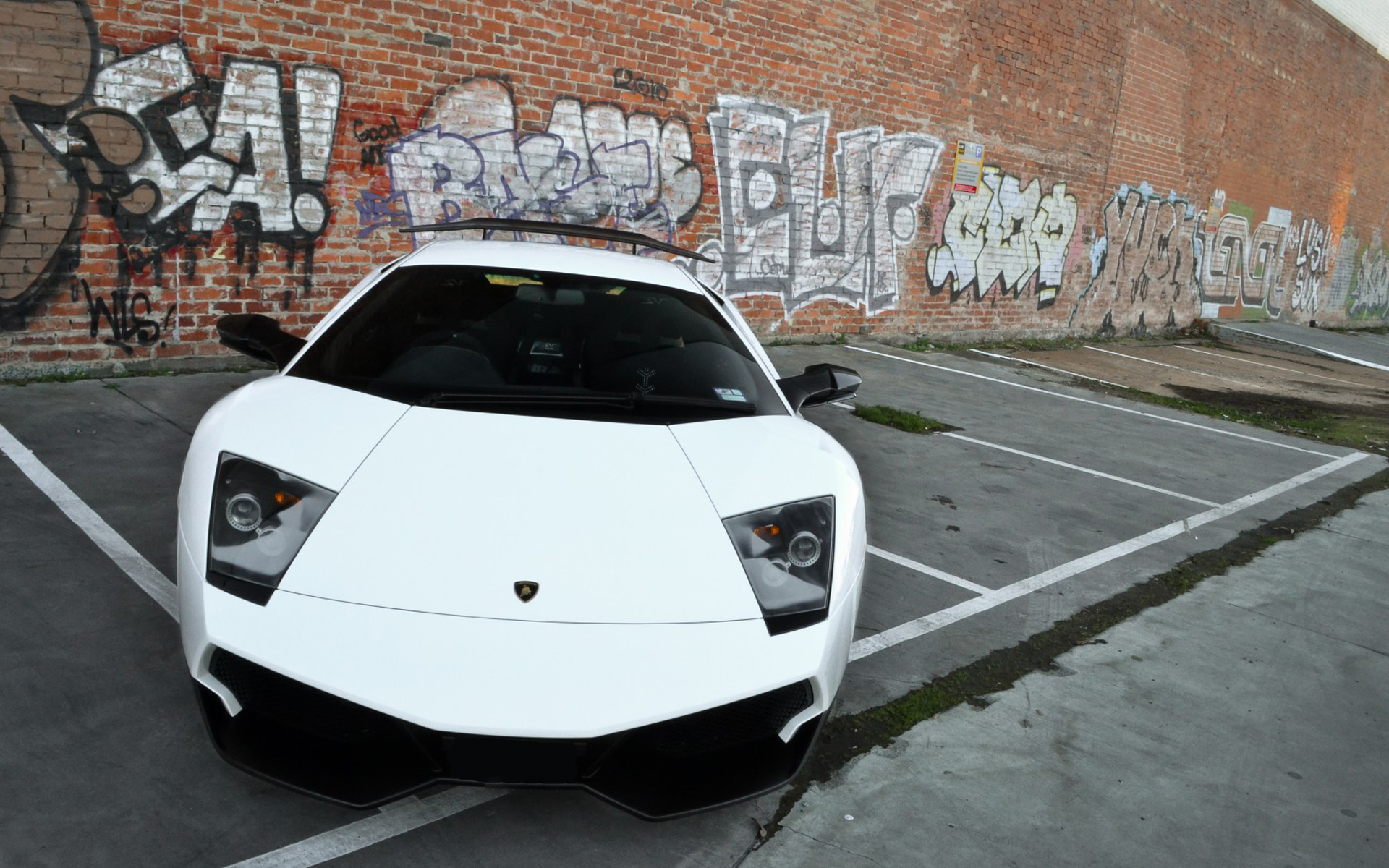 lamborghini, белый, murcielago No 34436 Разрешение 1920x1200