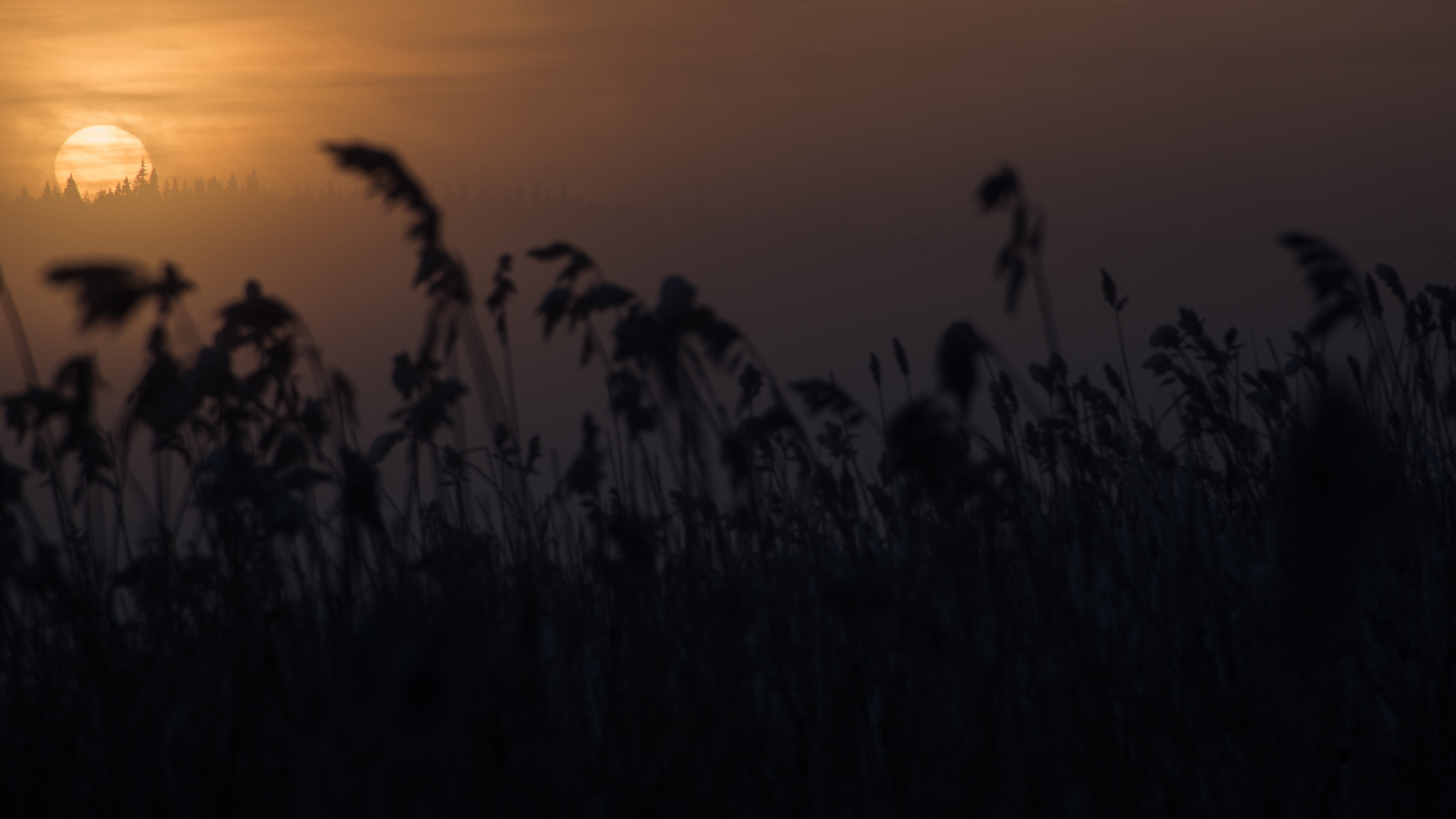 красное, красное