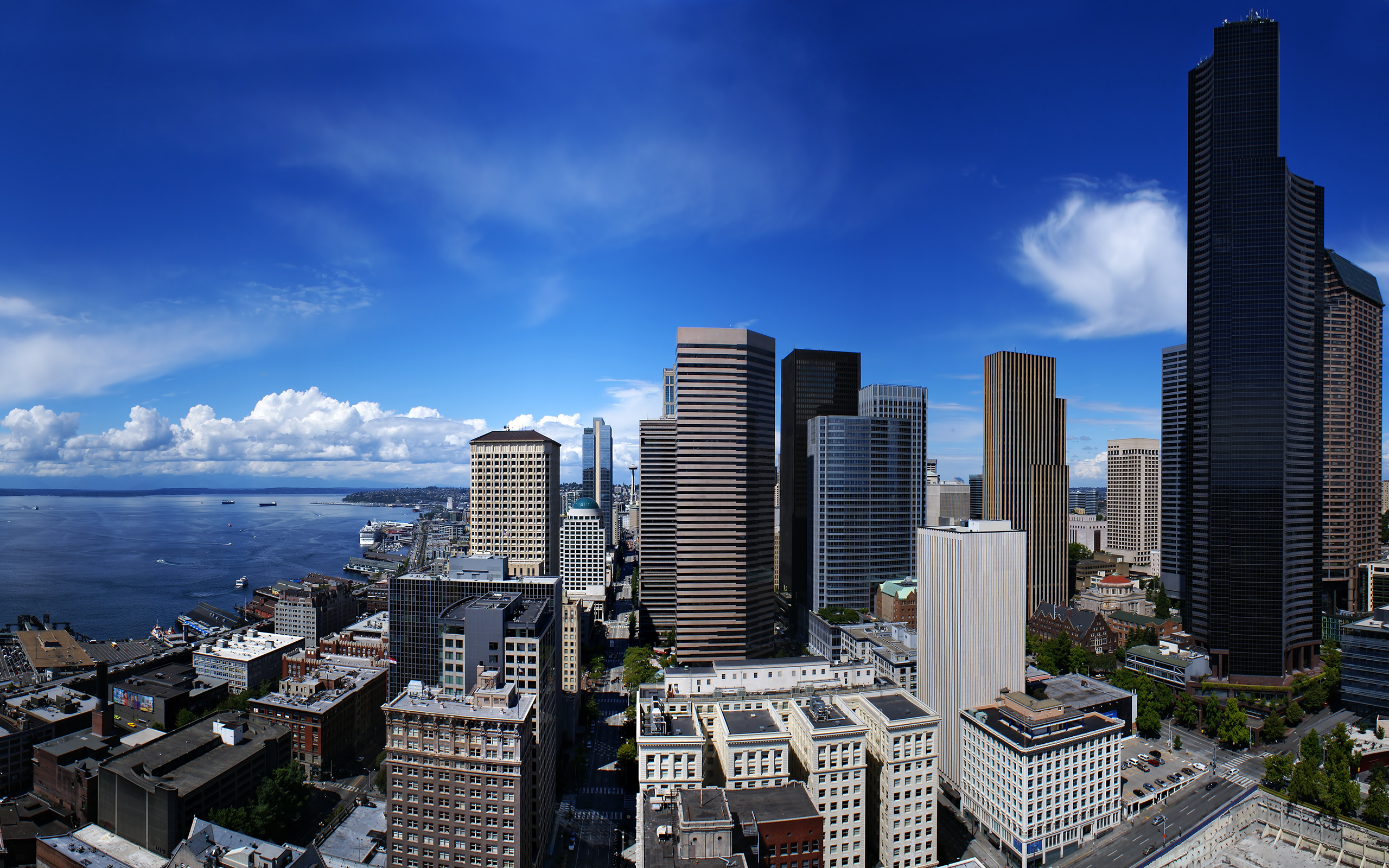 seattle, washington, state Фон № 125606 разрешение 2560x1600