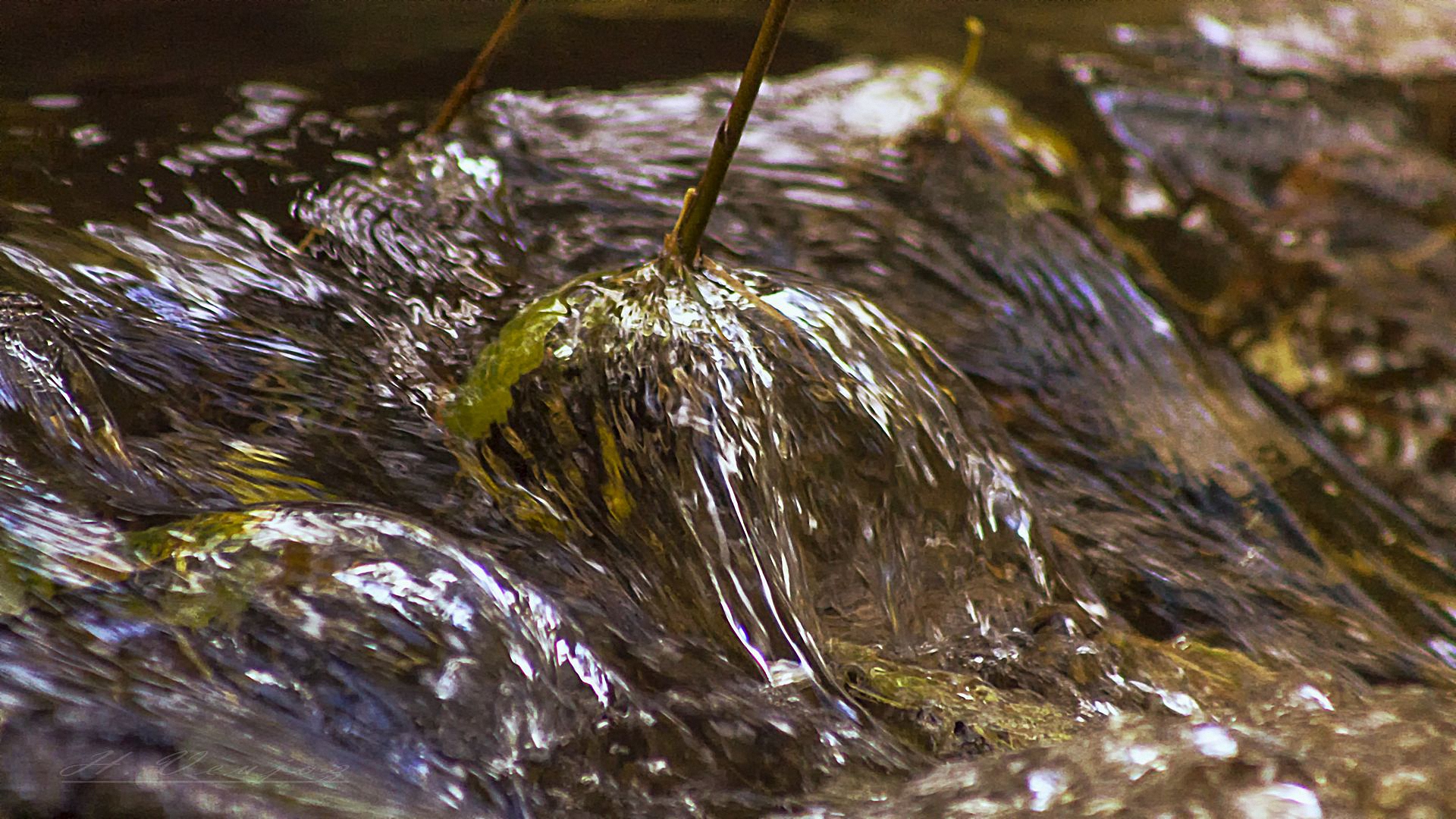 фото, вода, рулон