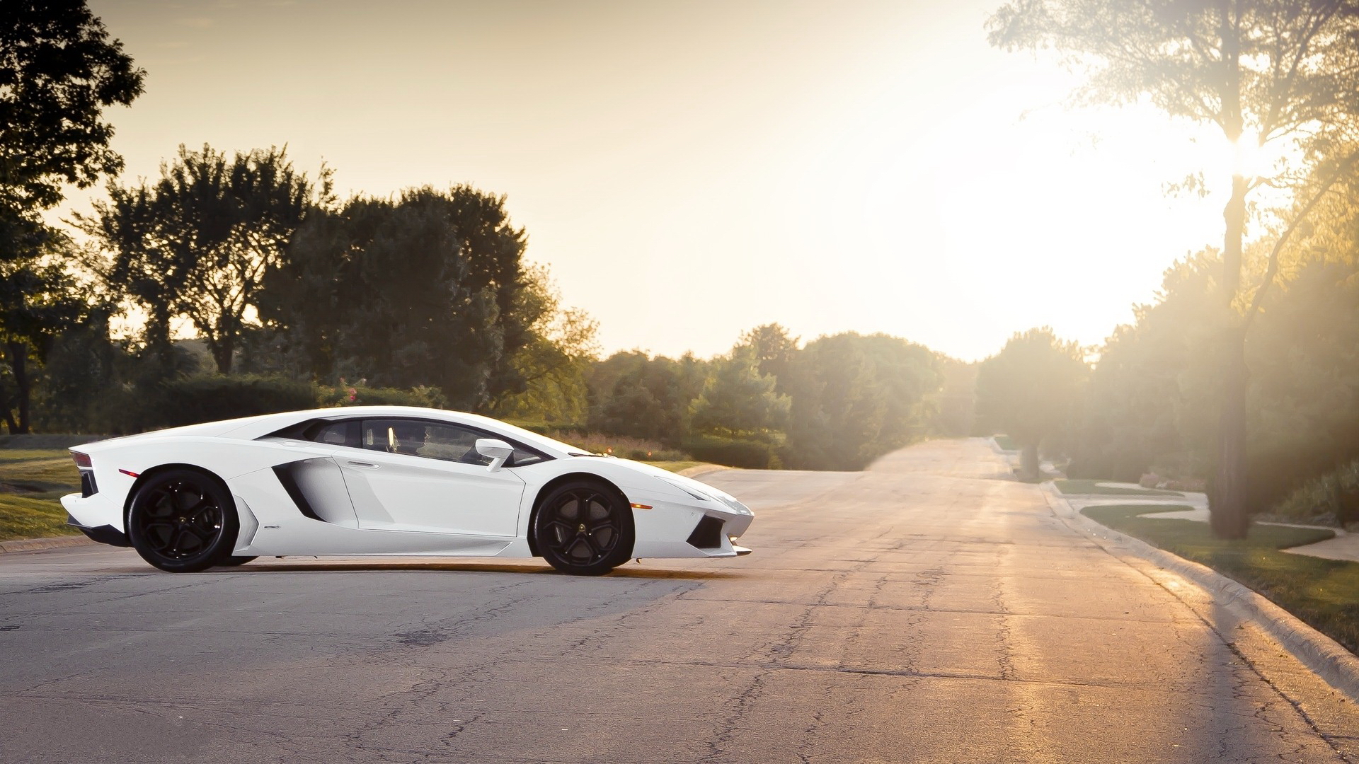 aventador, белый, черный