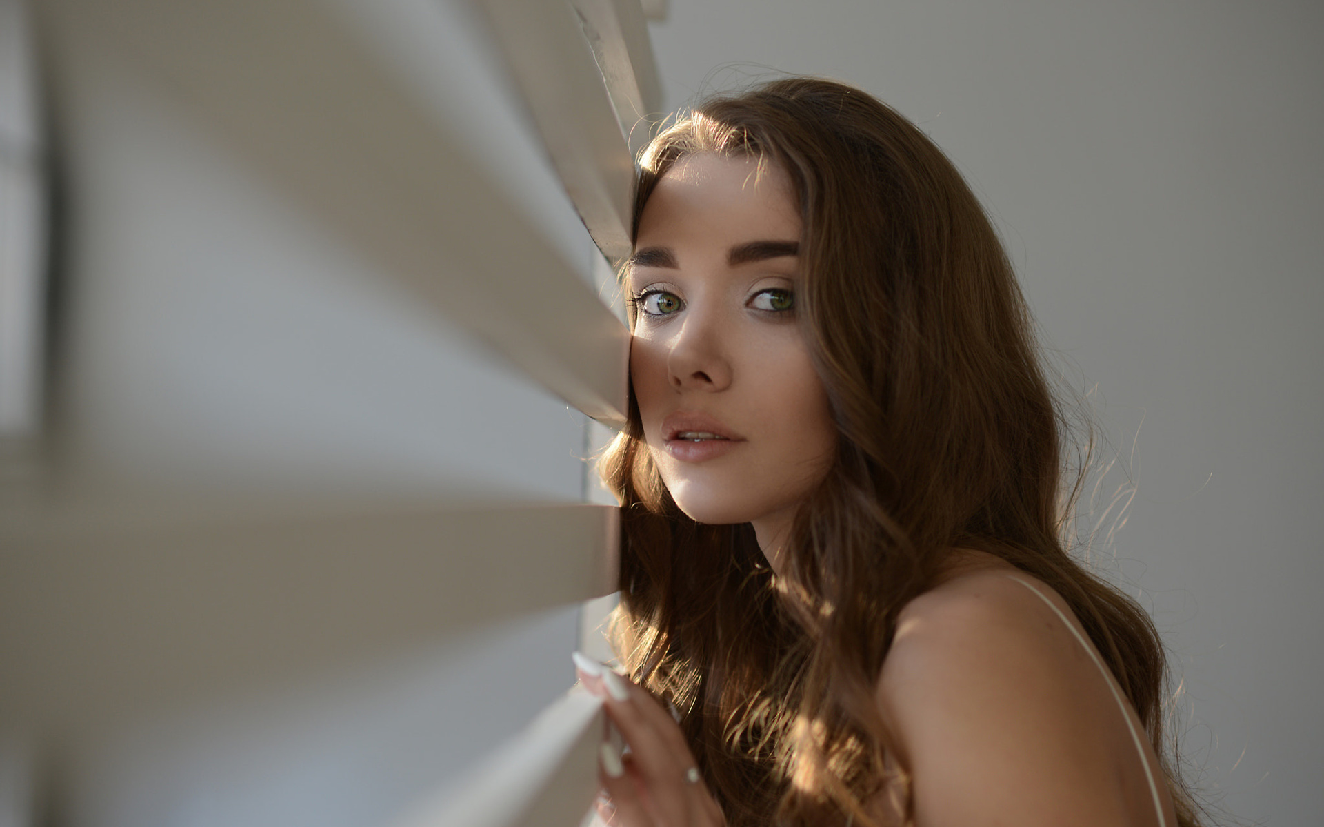 леди, сегодня вечером