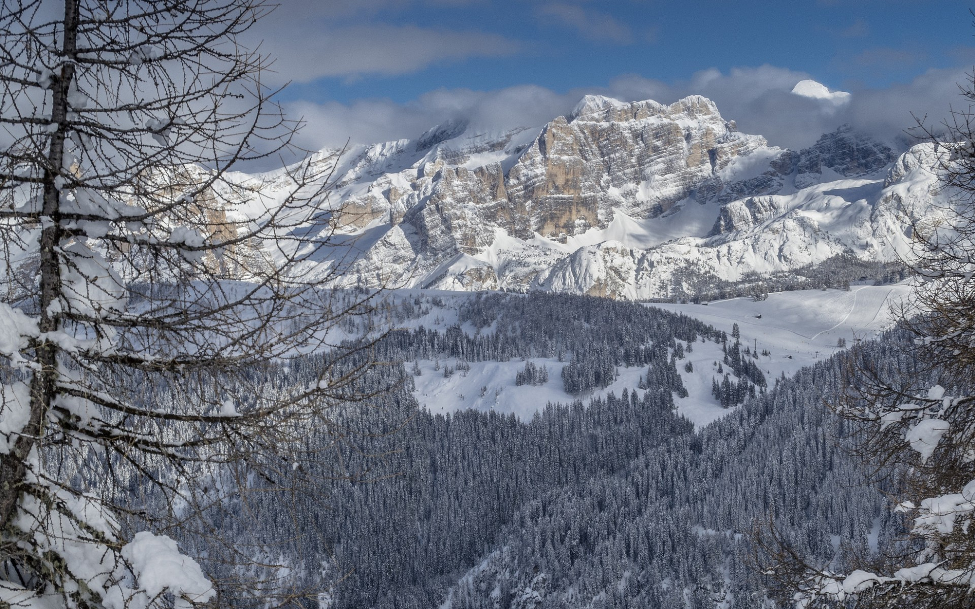 лента, смесь, пульс