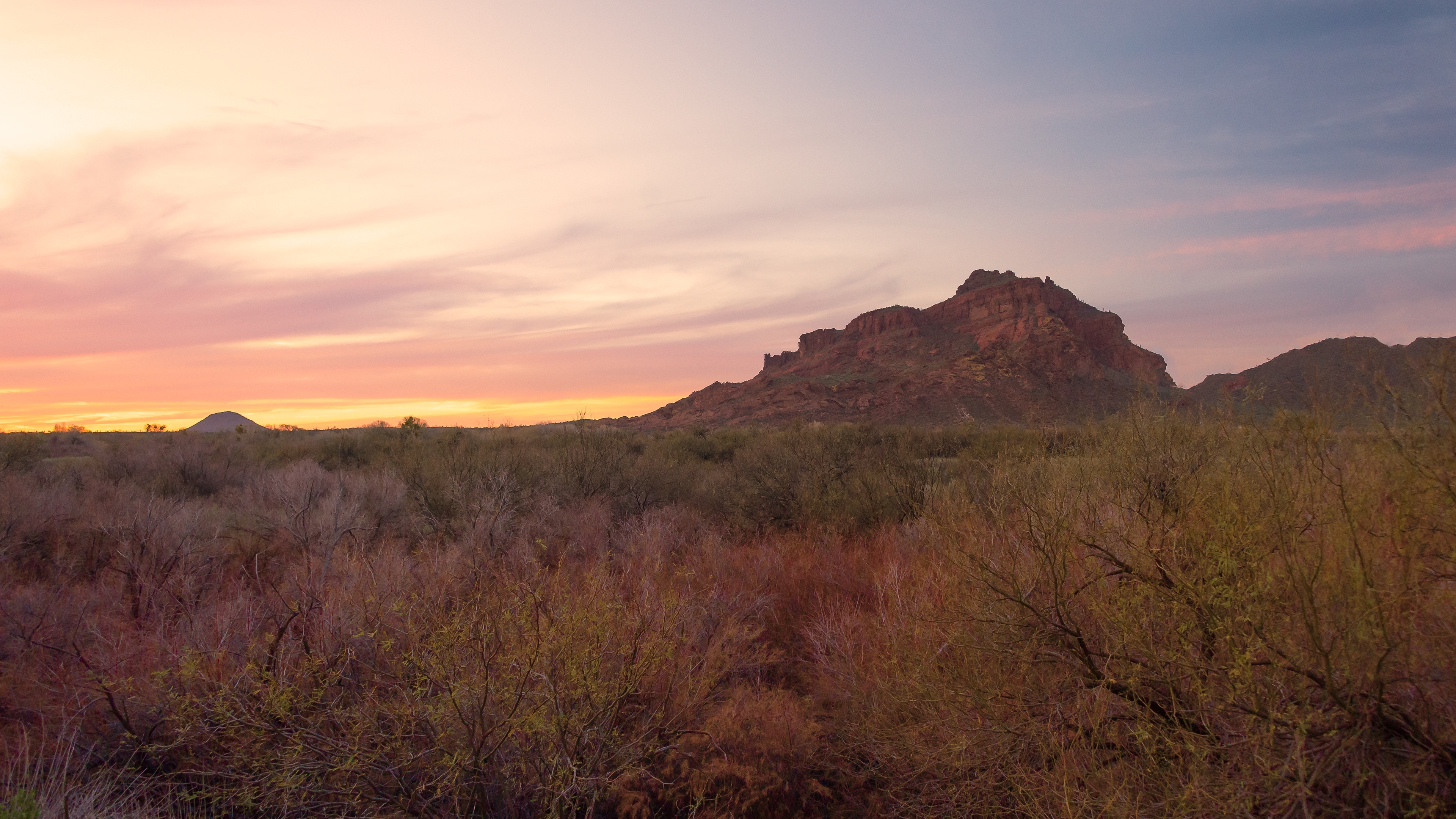 shrubland