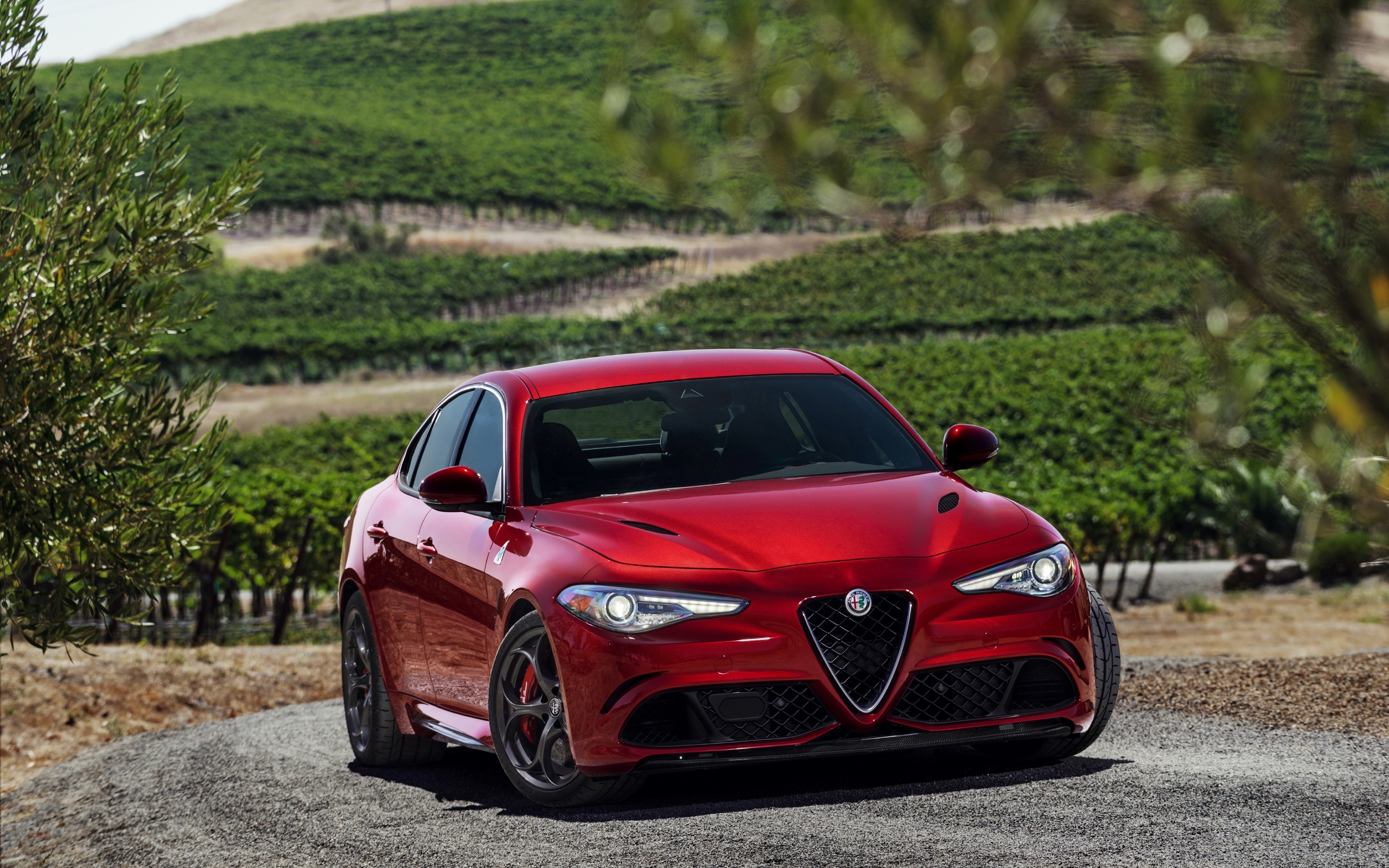 alfa, romeo, giulia