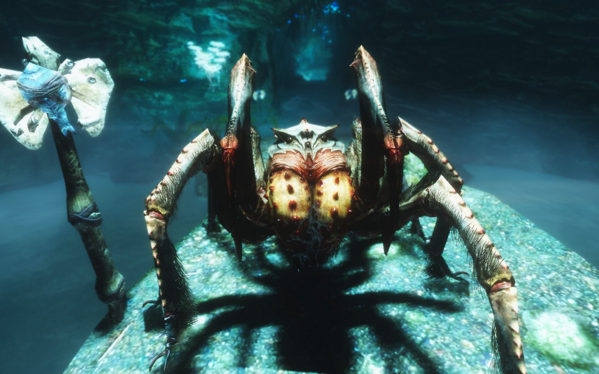 skyrim, elder, свитки No 89524 Разрешение 1920x1200