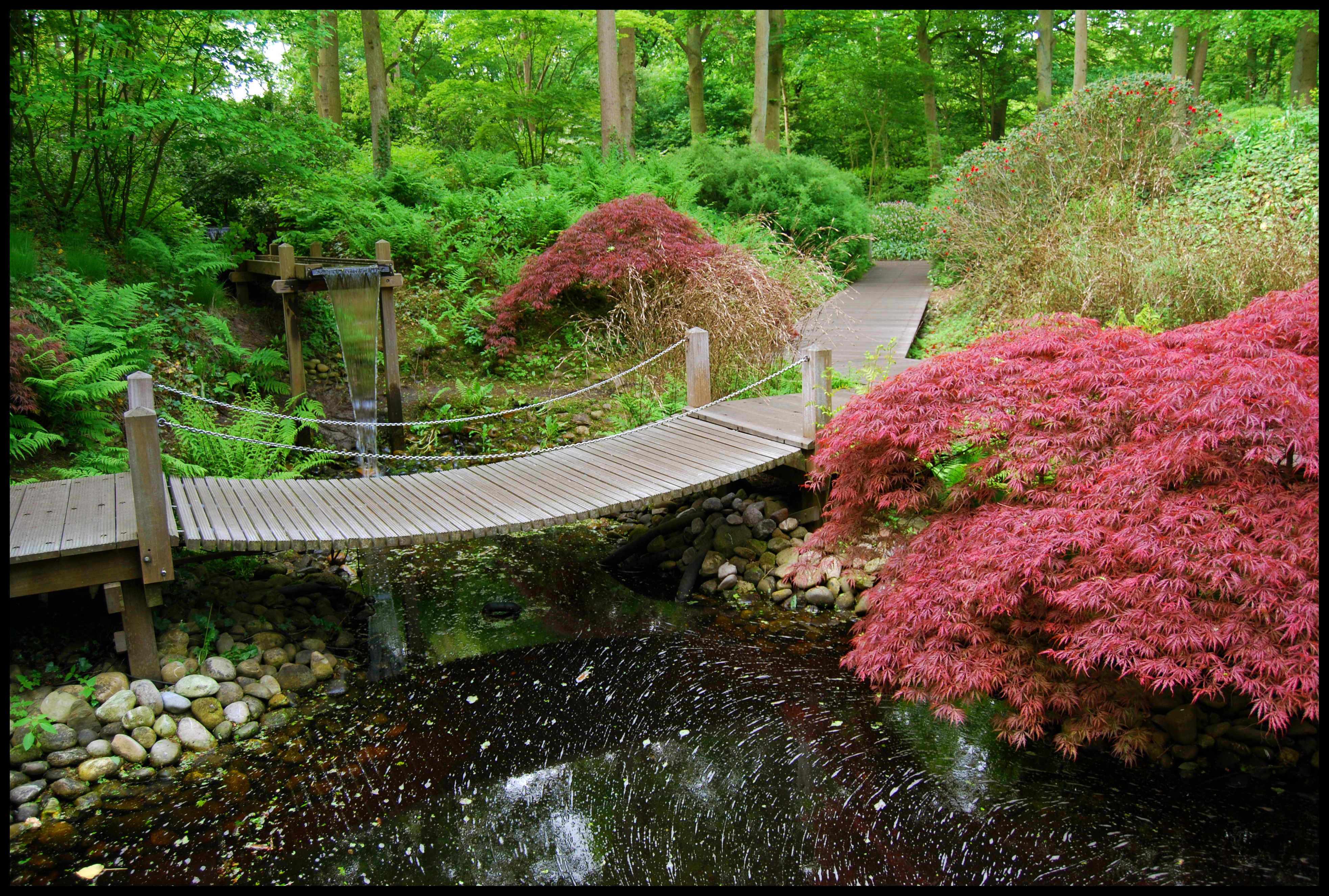 Забронировать столик в японском саду. Парк Клингендаел-японский сад. Сады Киото. Японский сад хиранива. Япония сады пруд мост.