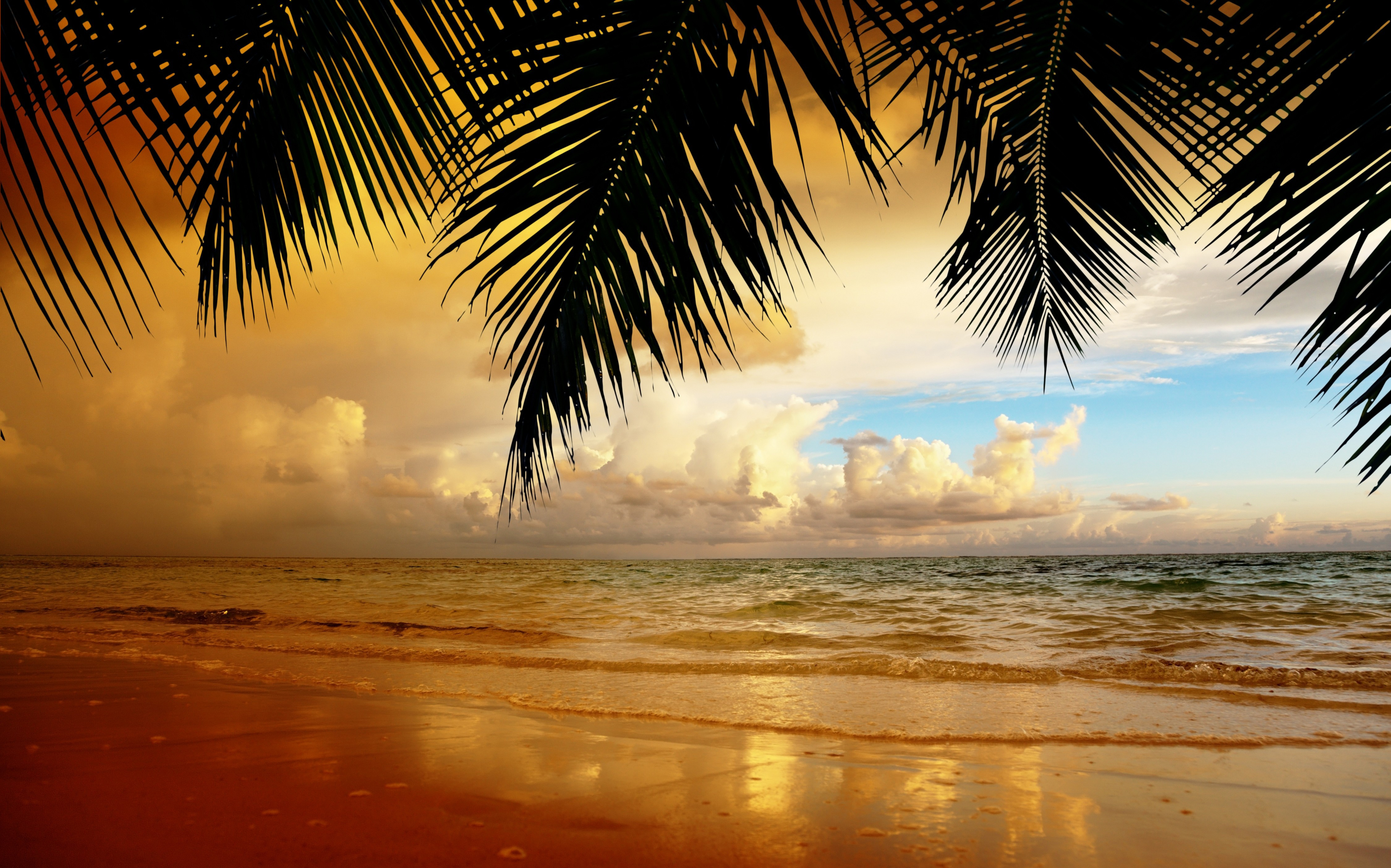 русские, закят